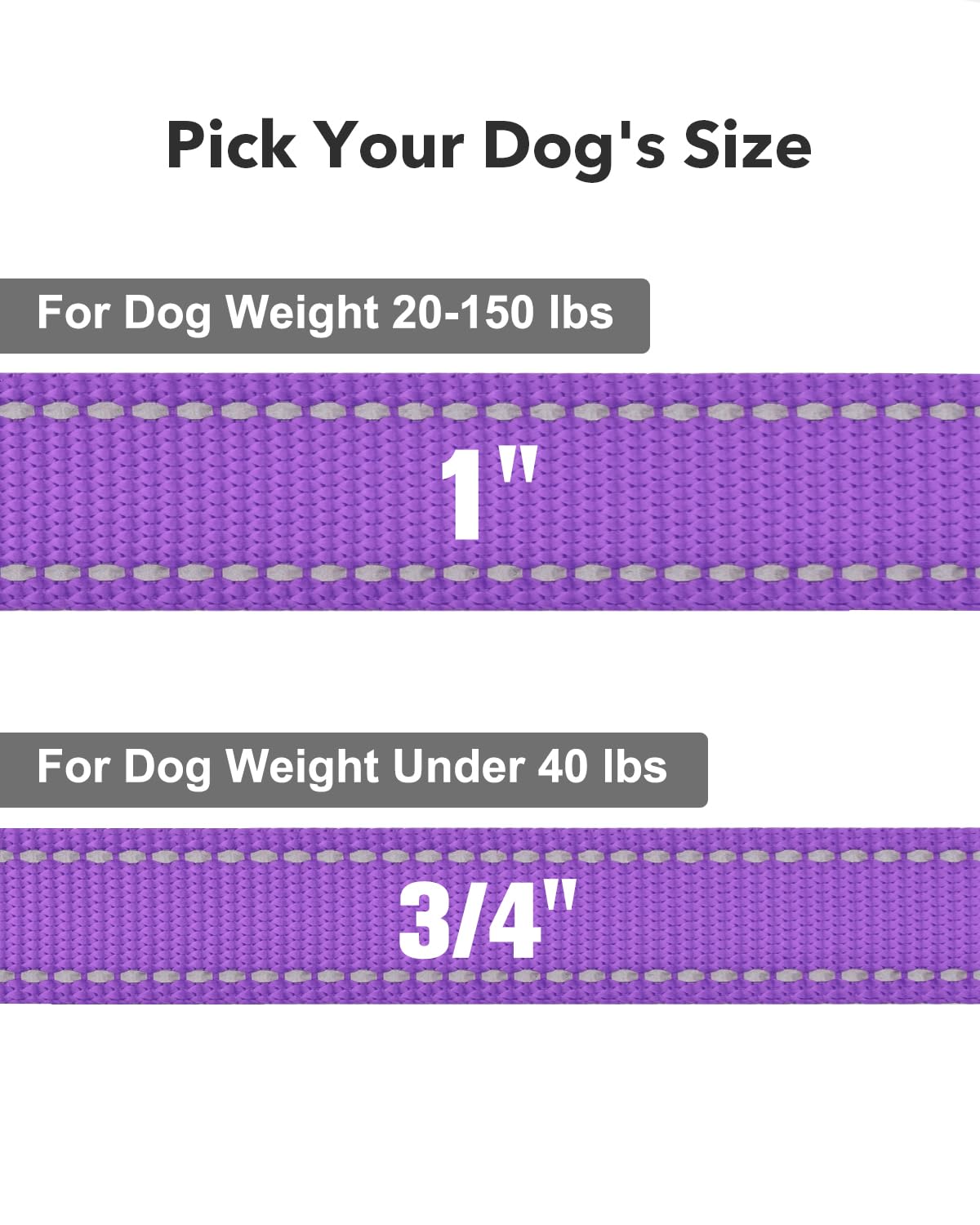 Taglory Dog Leash For Medium Large Dogs, Double-Sided Reflective Leash With Soft Neoprene Padded Handle, 1 Inch By 6 Ft, Fit Med