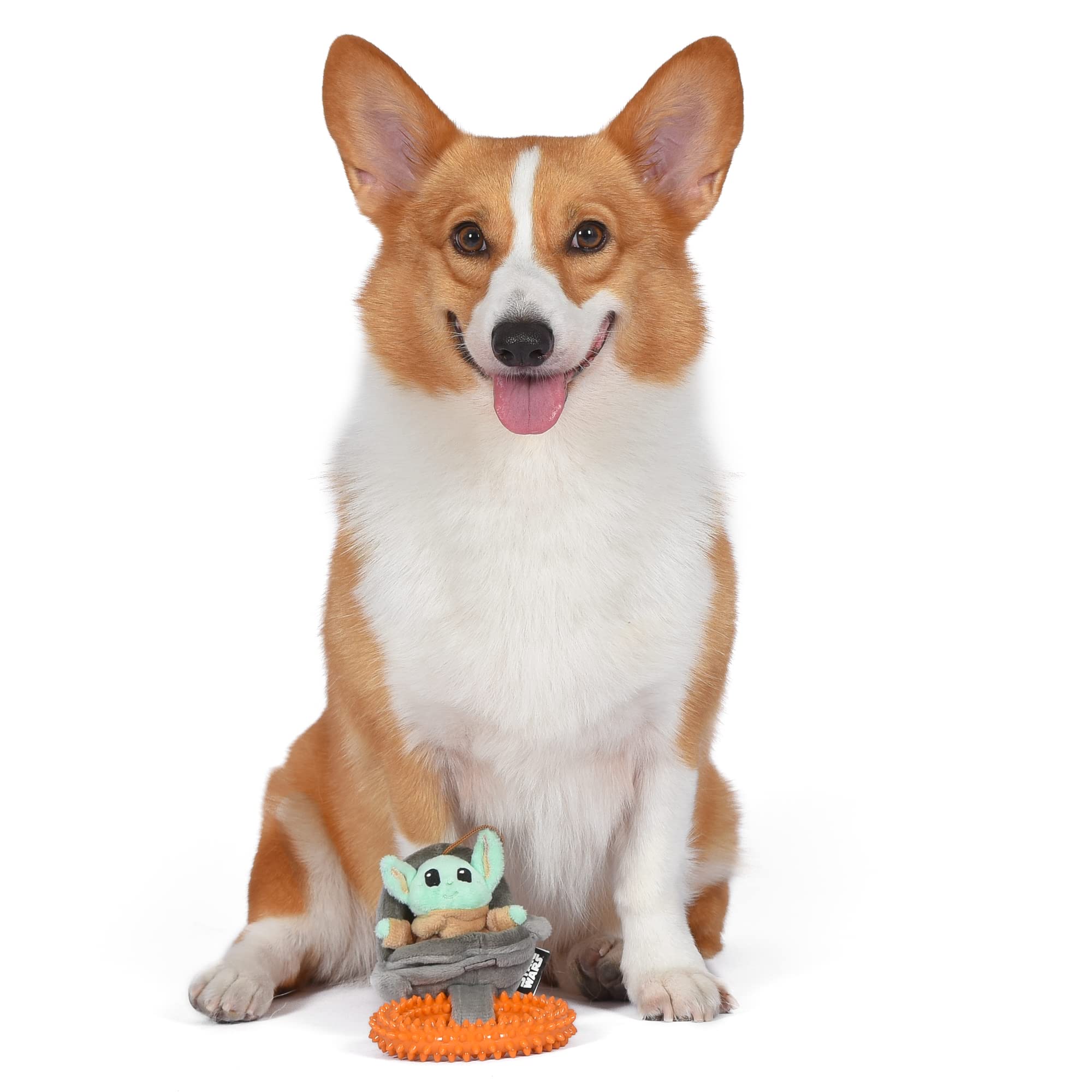 Star Wars For Pets Grogu Cradle Puppy Ring Teether Toy | Grogu Teething Toy For Puppies | Dog Toys, Puppy Teething Toys, Puppy Safe Chew Toys, Dog Chew Toys | Gifts Fans