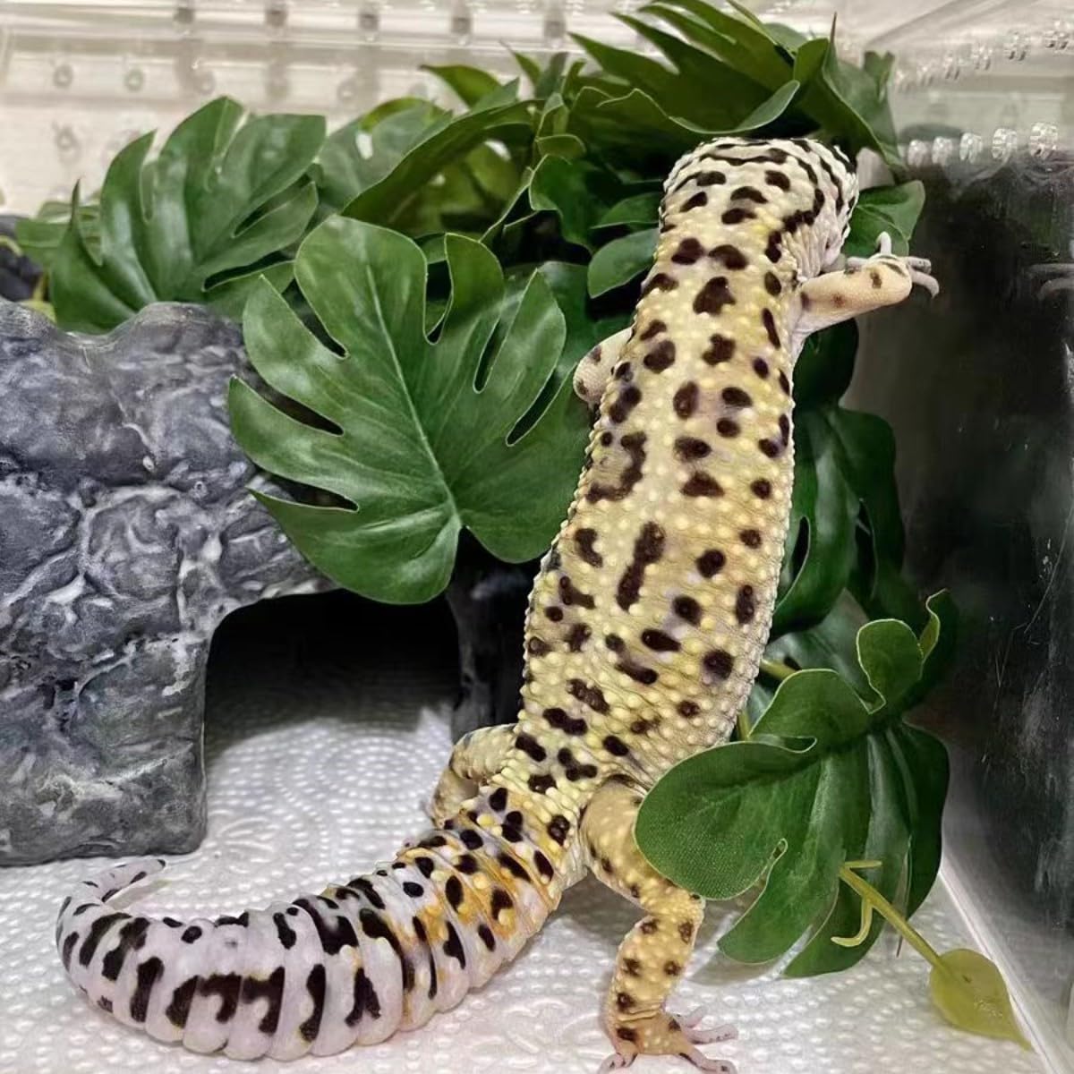 KERUIDENG Reptile Plants for Terrarium Decor,Amphibian Habitat Decor,Artificial Plants for Gecko Chameleon Snake Tortoise Tank A