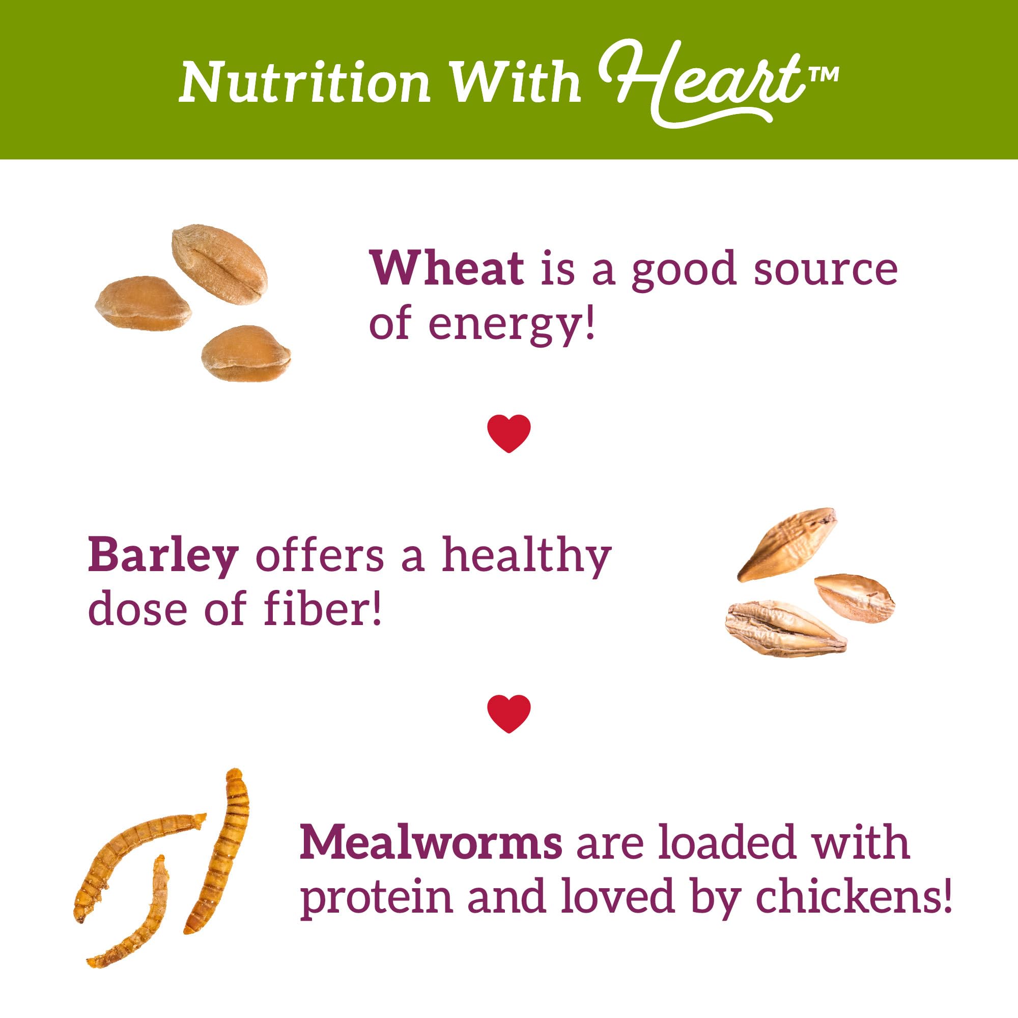 Love My Girls: Chicken Snacks - 5-Grain & Worms - 5lb Bag - Global Harvest, Gourmet Multi-Grain Treats, Corn-Free, Nutritious &