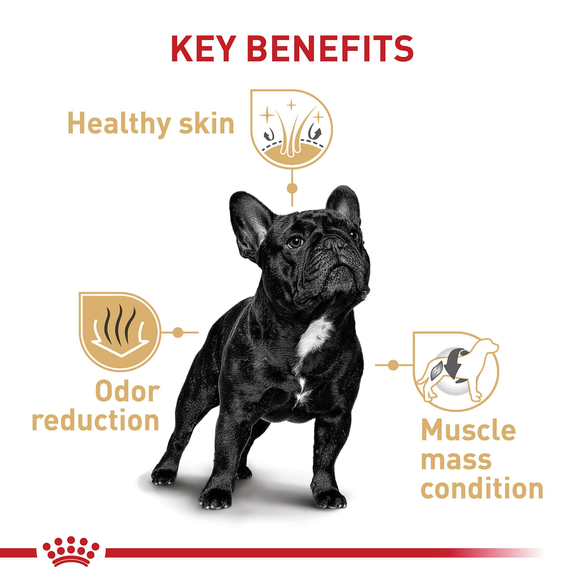 Royal Canin French Bulldog Adult Dry Dog Food, 6 lb bag