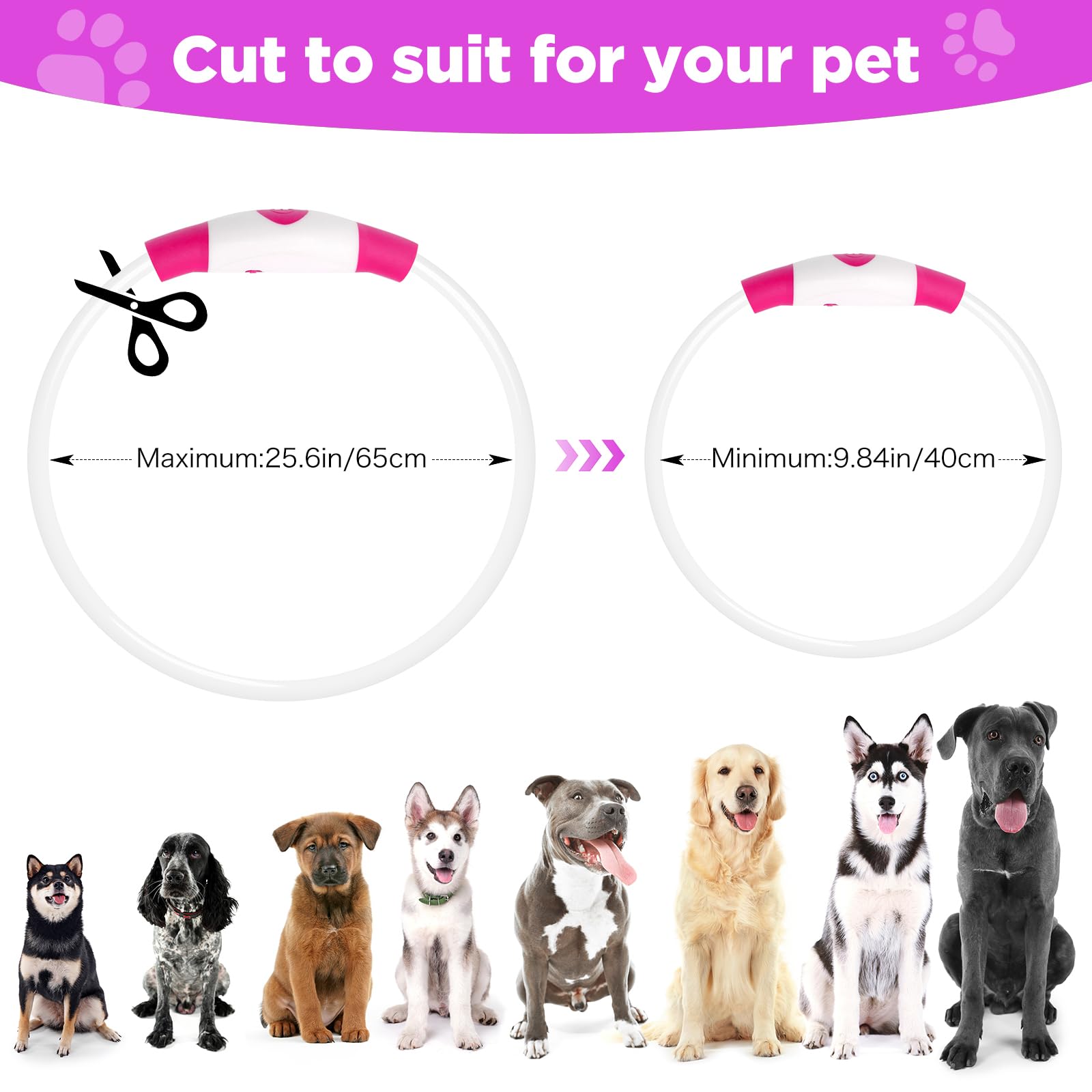 2 Pack Light Up Dog Collar, Usb Rechargeable Dog Collar Light For Night Walking, Led Lighted Dog Collar, Glow In The Dark Dog Co