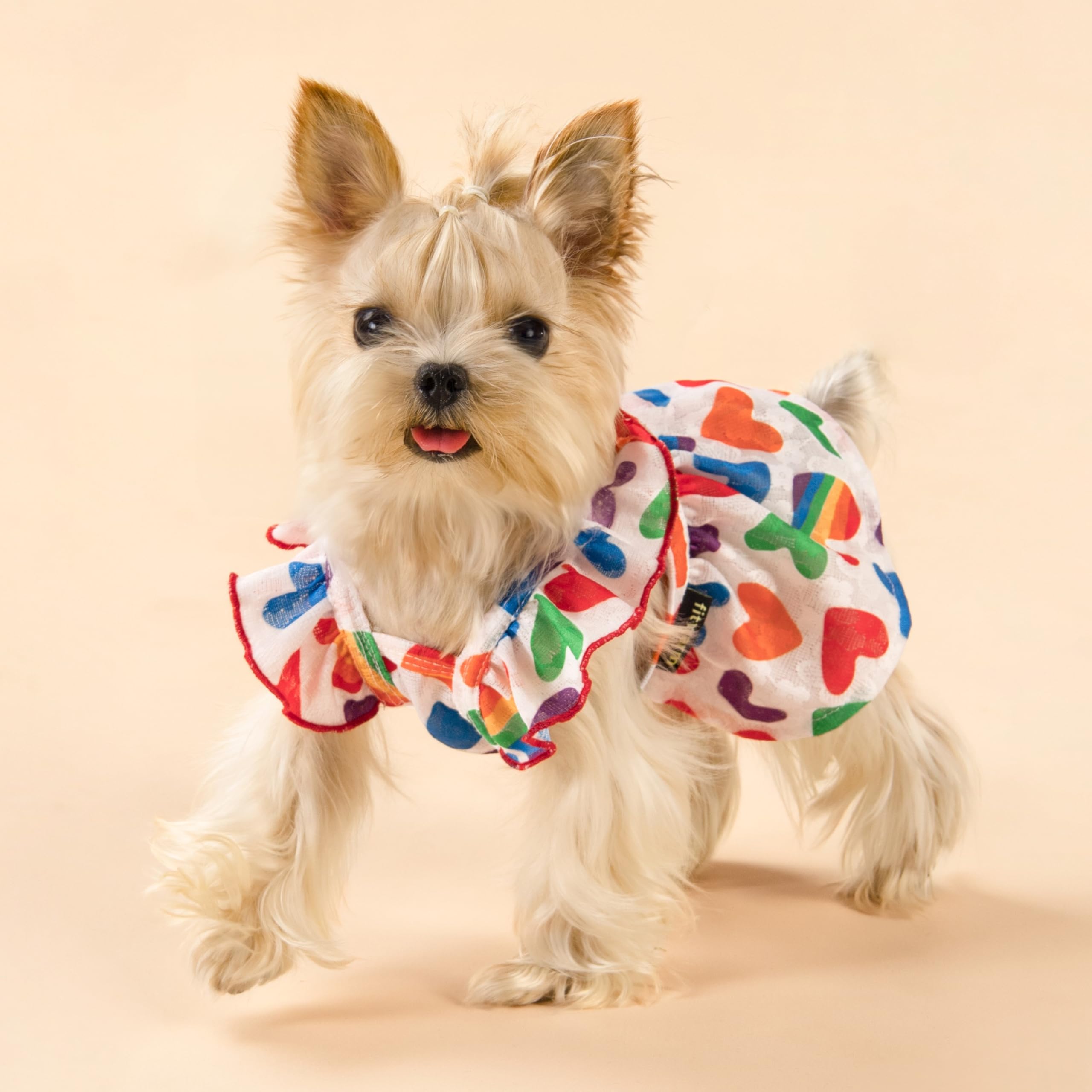 Fitwarm Colorful Heart Dog Dress, Summer Clothes For Small Dogs Girl, Cute Pet Rainbow Outfit, Red, Yellow, Blue, Green, White,