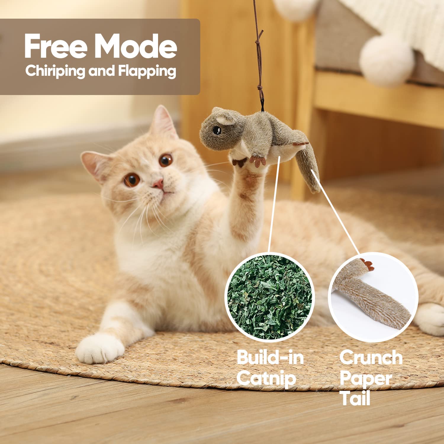 PETFUTURE Cat Toys for Bored Indoor Cats, Cat Bat Wings with Catnip for Cats, USB Rechargeable Motion Activated Kitten Toys, Int