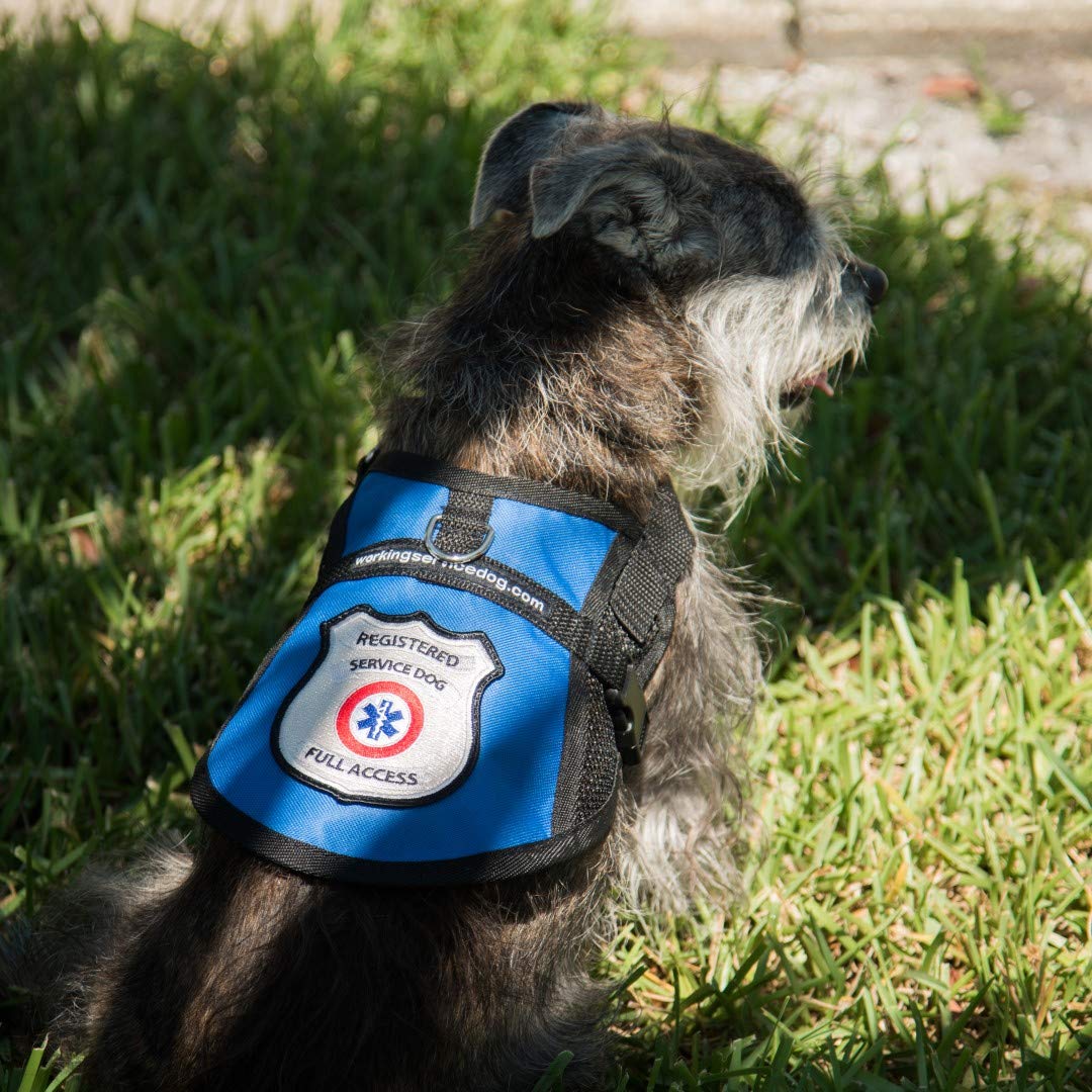 Registered Service Dog Mesh Harness Vest - Includes 5 Federal Law Cards (28-31' Girth, Blue)