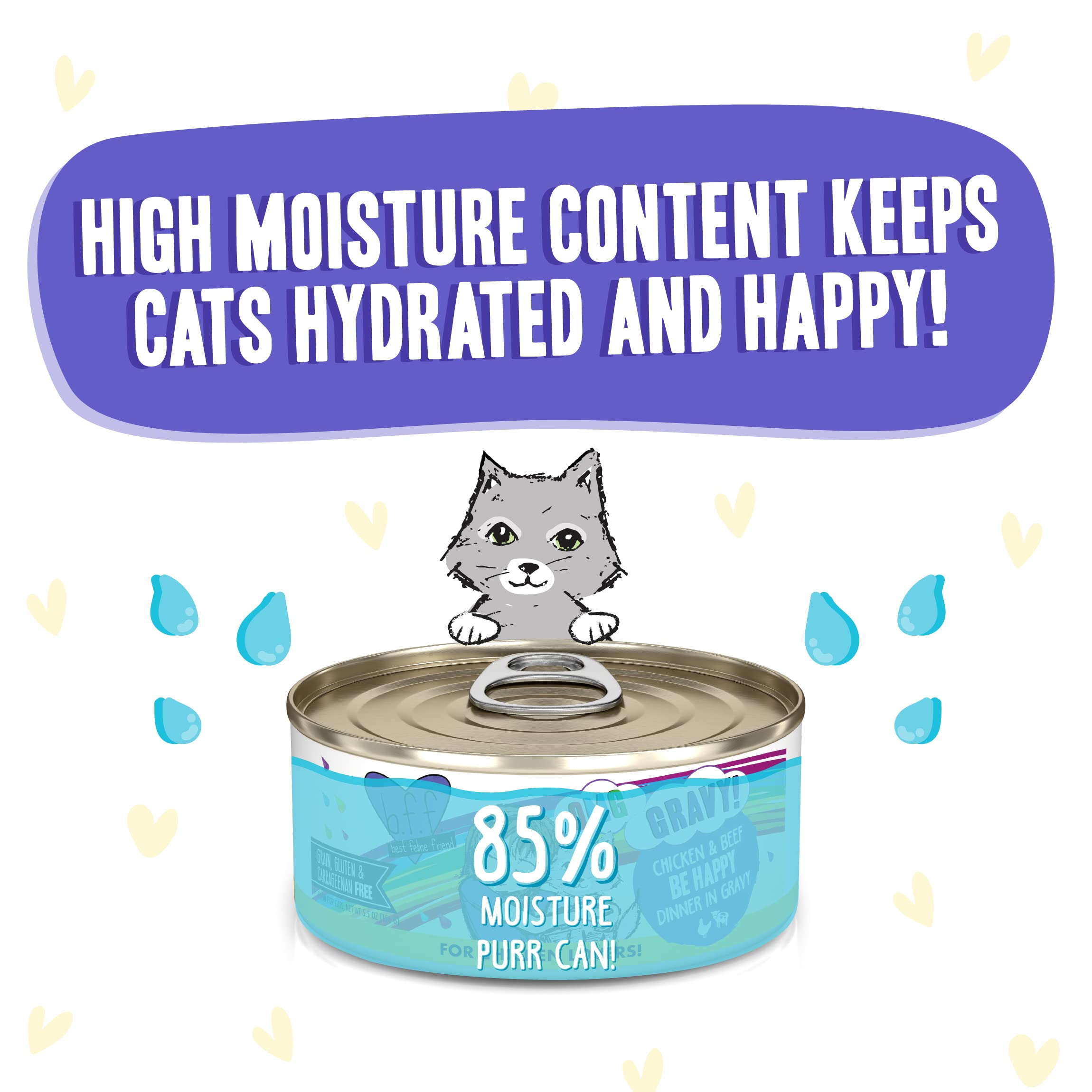 Weruva B.F.F. OMG - Best Feline Friend Oh My Gravy!, Chicken & Beef Be Happy with Chicken & Beef in Gravy, 5.5oz Can (Pack of 8)