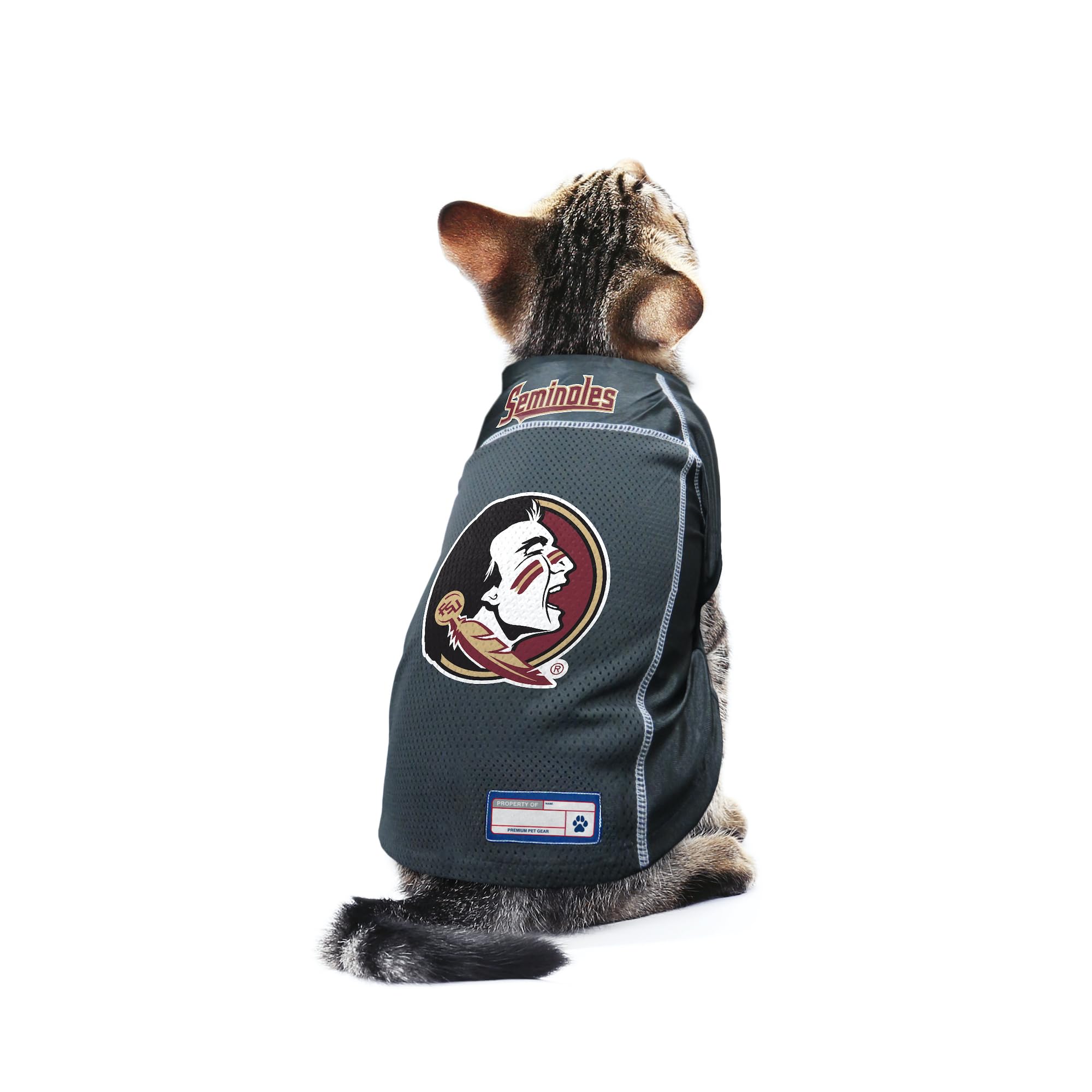 Littlearth Unisex-Adult Ncaa Florida State Seminoles Basic Pet Jersey, Team Color, Small