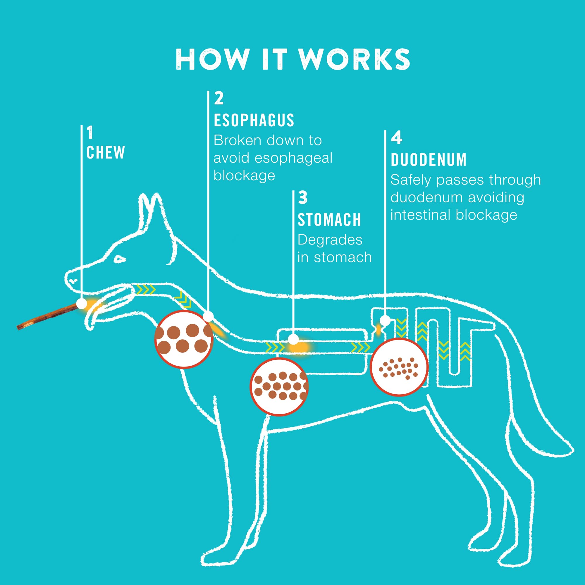 TRURANCH Collagen Chips - Collagen Dog Treats - Long Lasting Healthy Joint Support - Rawhide Alternative Chips - Skin & Coat Hea