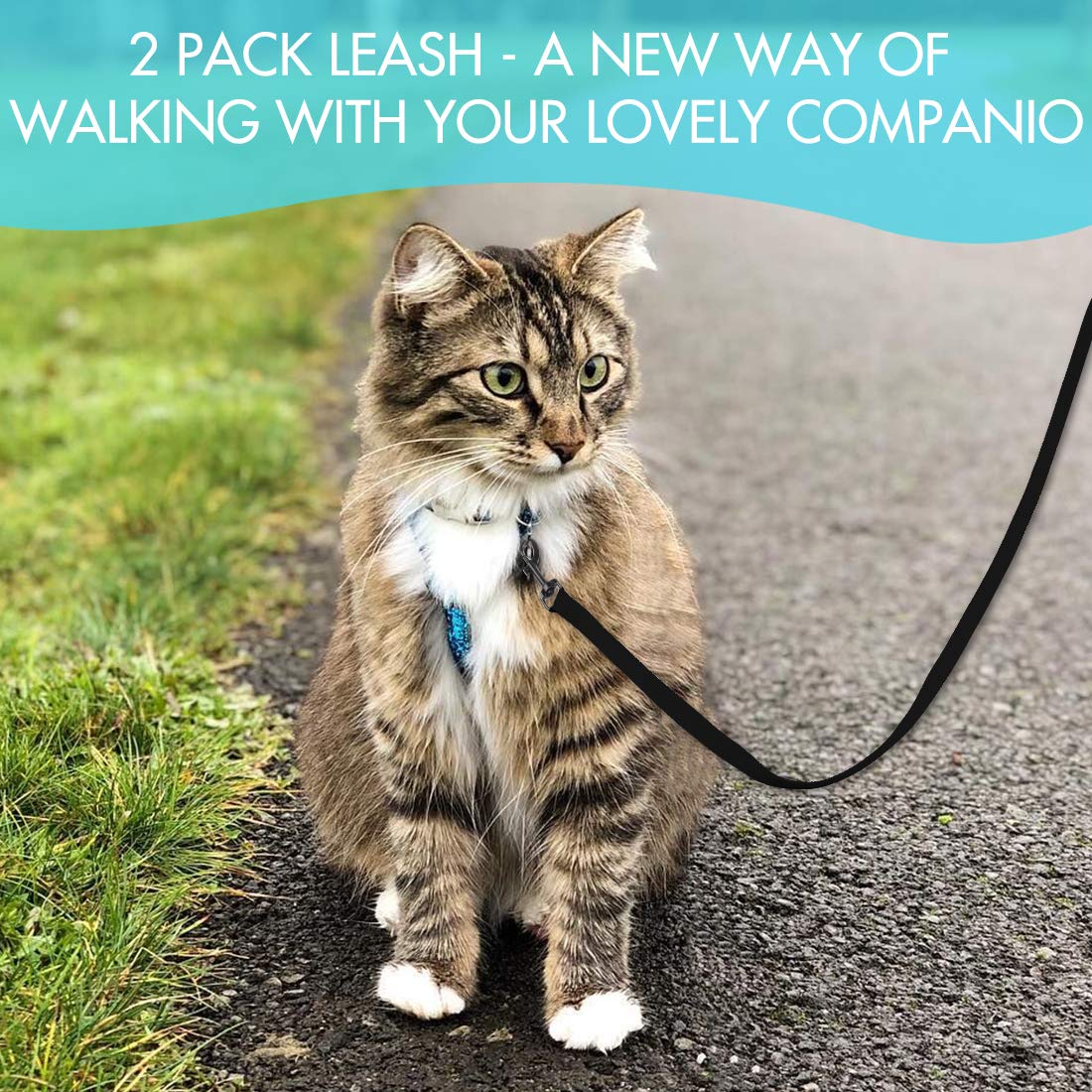 Doyoo 2 Pack Puppy & Cat Leash - Strong & Durable With Easy-Use Collar Hook - Great For Small & Medium Dogs (Set 4-Black+Black)