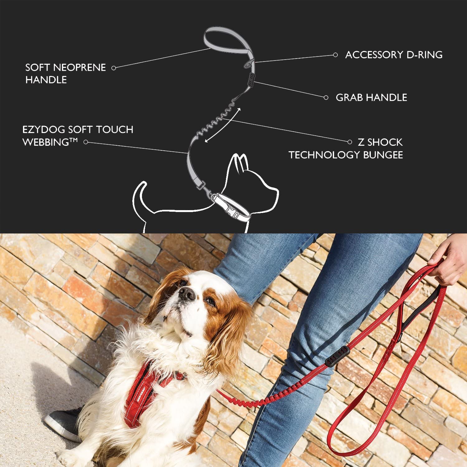 Ezydog Zero Shock Leash Lite - Best Shock Absorbing Bungee Dog Leash & Training Lead - Double Handle Reflective Leash For Traffic Control - For Walking, Jogging And Running (72, Blue)