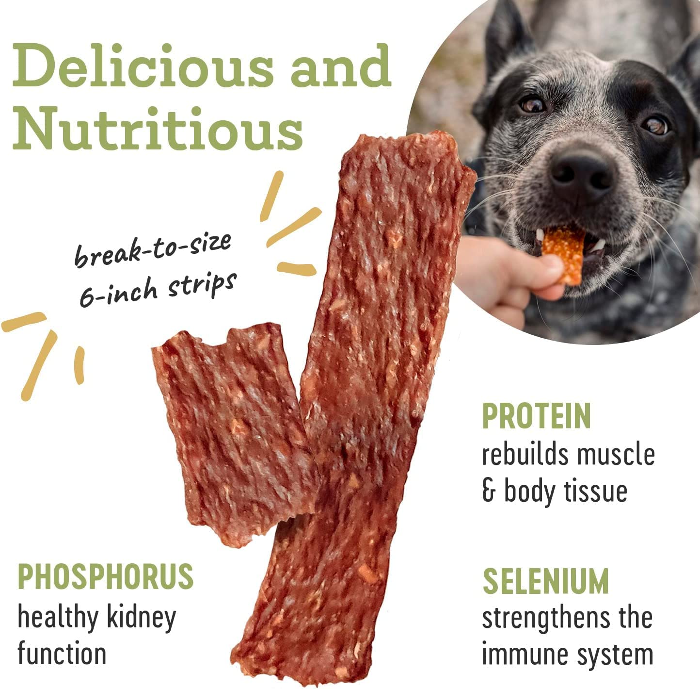 Farm Hounds - Duck Strips - Premium Natural Jerky for Dogs - Made from 100% Humanely Raised Duck - Great for Training & Treats -
