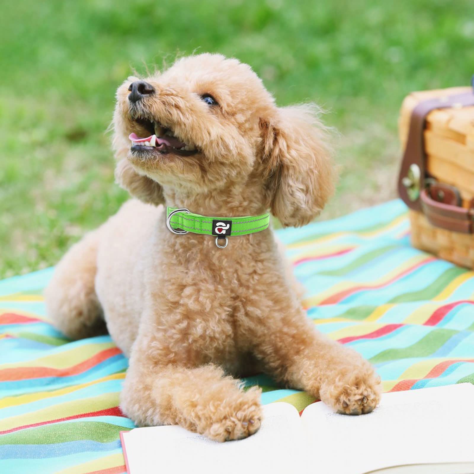 Azuza Reflective Dog Collar, Soft Neoprene Padded Pet Collar With Id Tag Ring, Adjustable For Puppy And Small Dogs,Green,Xs