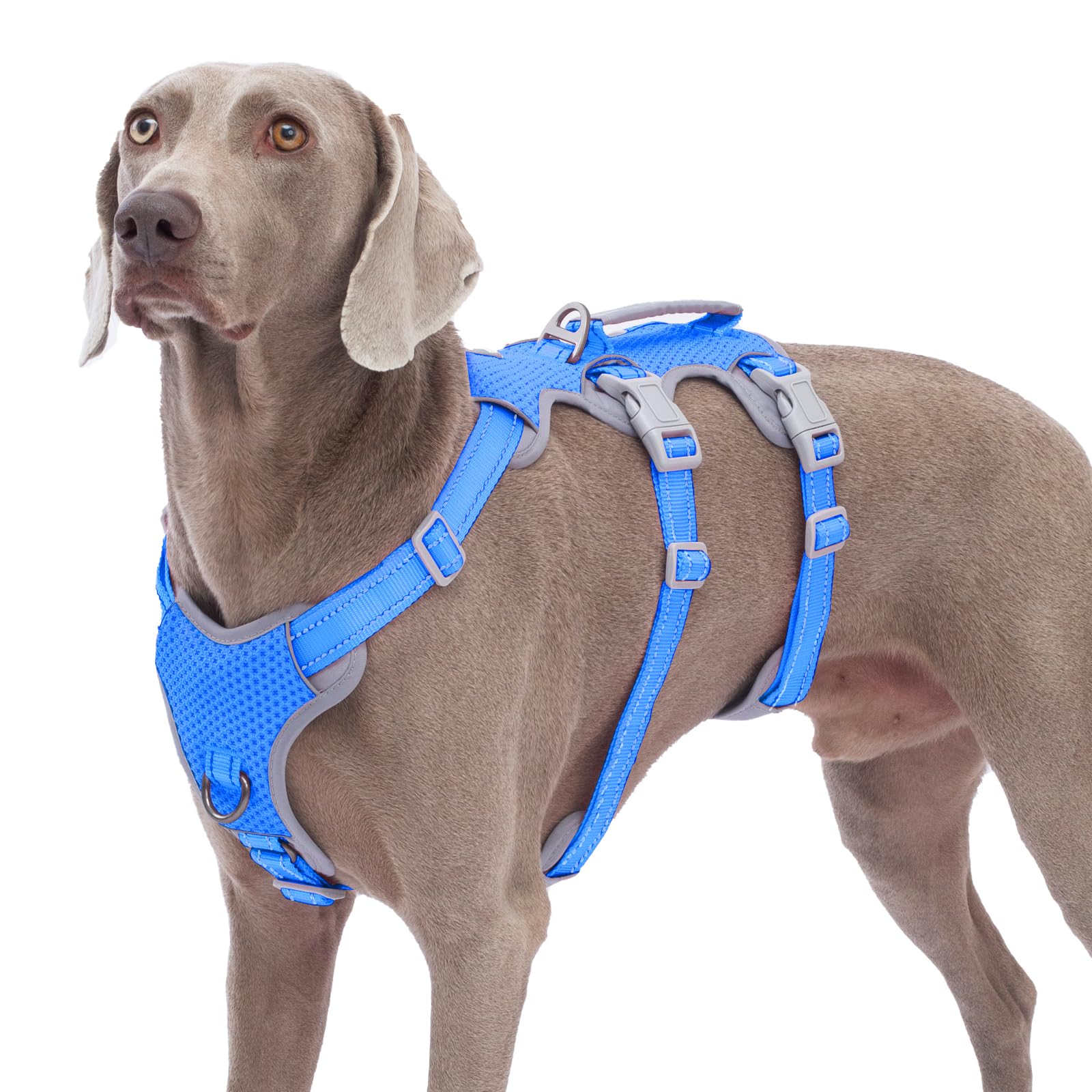 Huntboo Escape Proof Dog Harness, No Pull Reflective Harness With Lift Handle,Adjustable Pet Vest With Front And Back Leash Clip