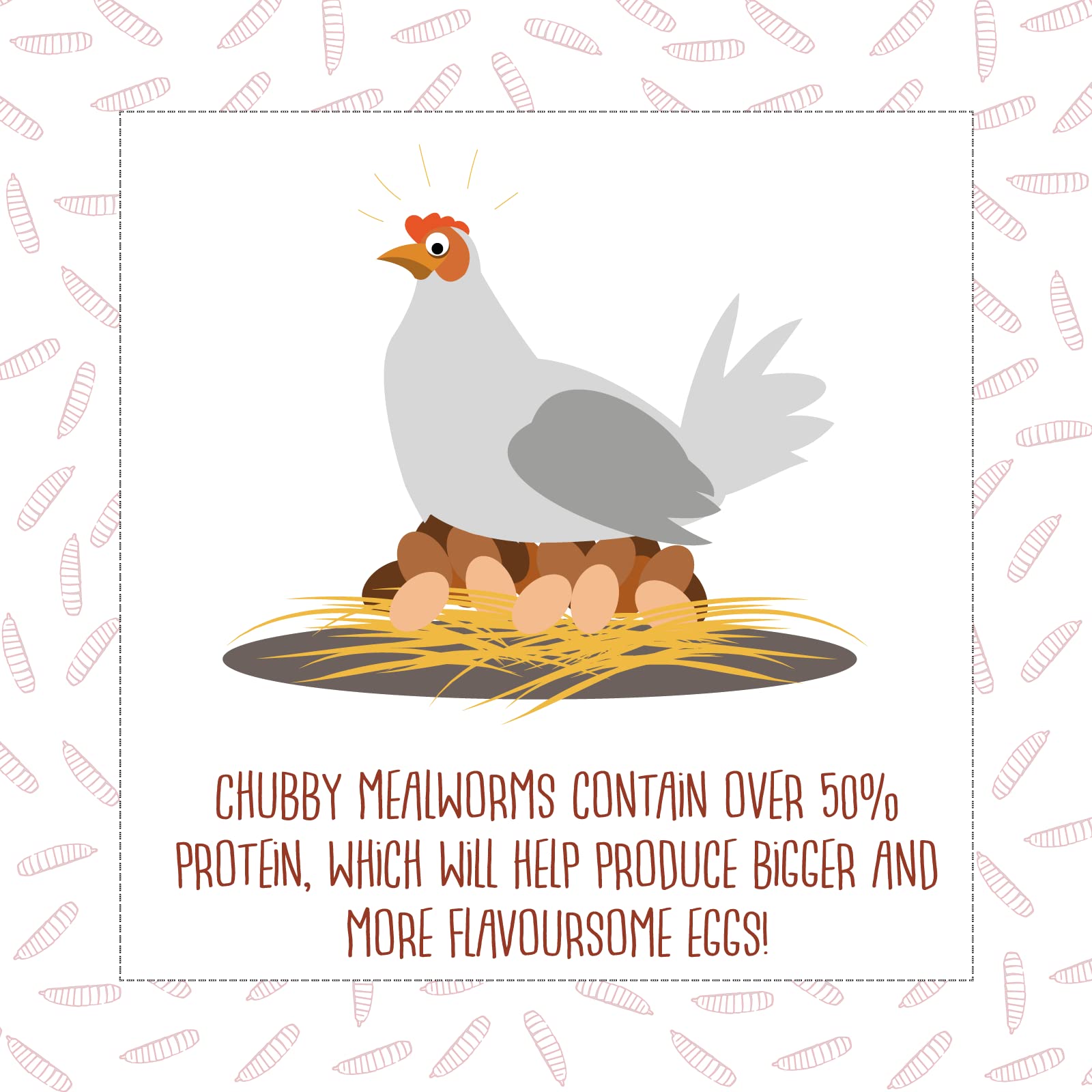 Chubby Dried Mealworms | 2  lbs | High-Protein Non-GMO Treats for Chickens, Ducks, Wild Birds & Backyard Pets