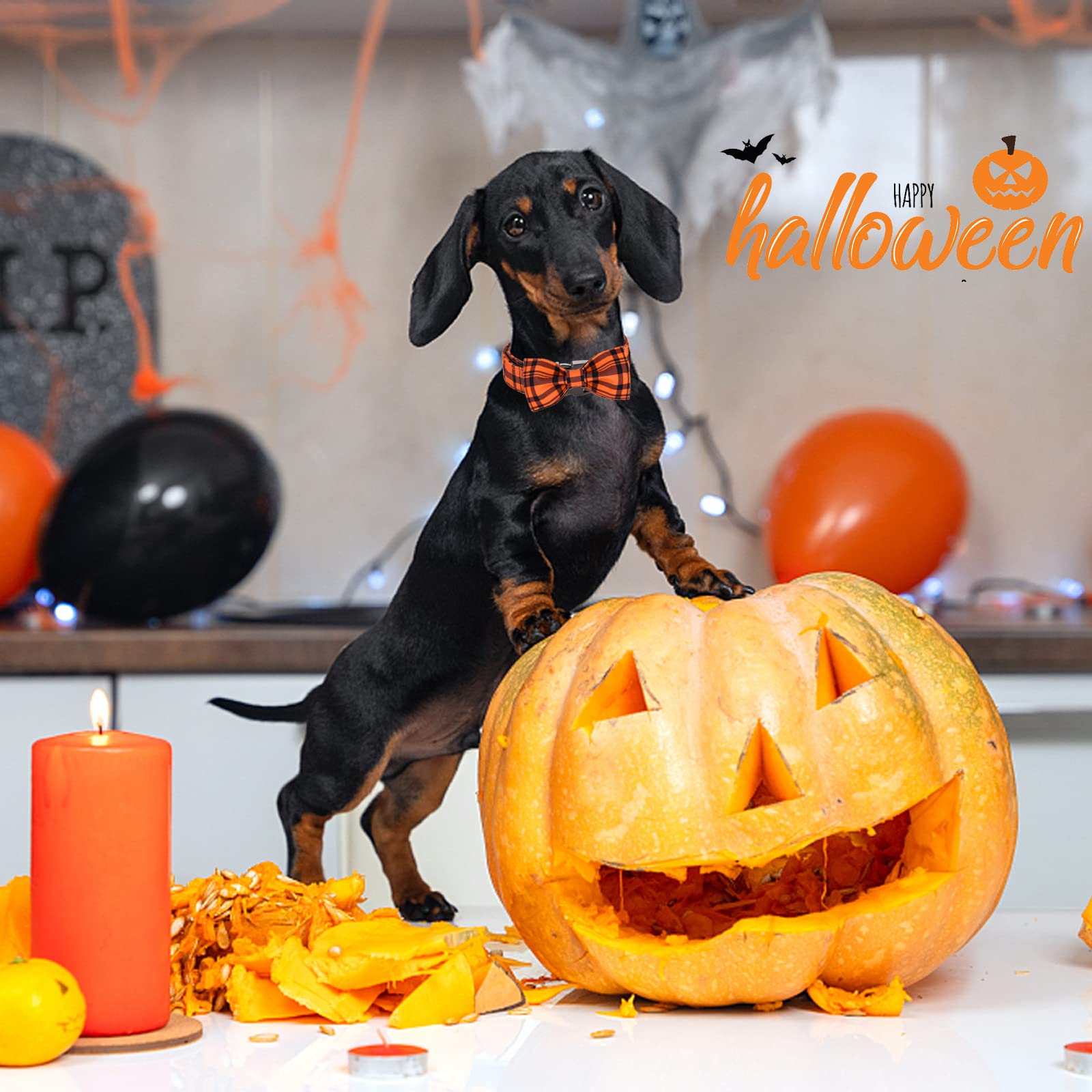 Aring Pet Dog Collar, Cute Fall Dog Collar With Bow, Adjustable Halloween Orange Grid Bowtie Dog Collars Gift With Metal Buckle