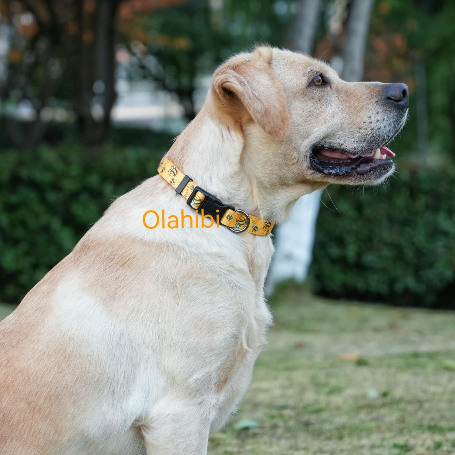 Olahibi Basic Dog Collar, Busy Bee Pattern, Polyester Material, 4 For Small Medium Large Dogs.(M, Yellow Bee)