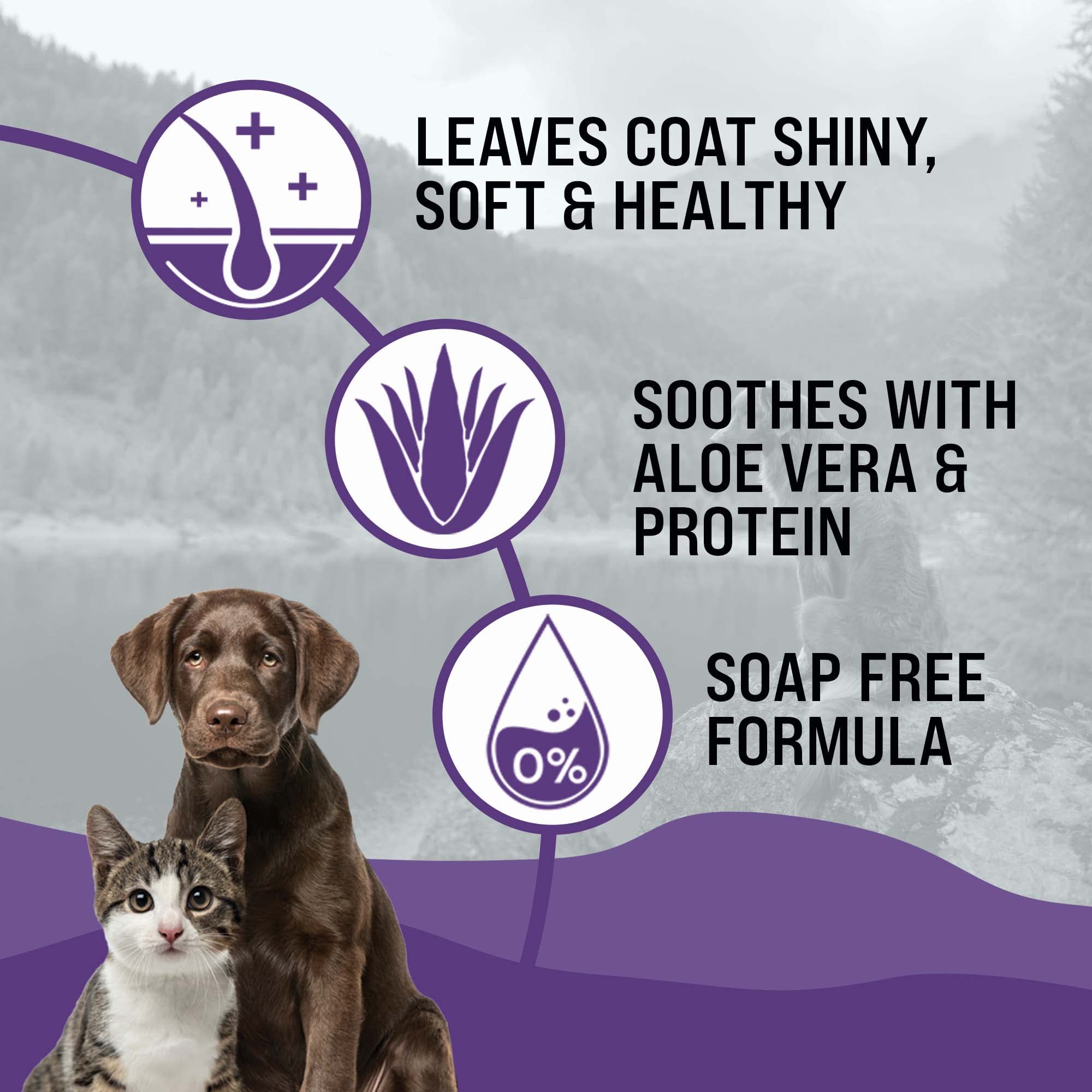 Dr. Boe'S Veterinary Essentials Gentlecoat Tearless Shampoo And Conditioner - Puppy And Kitten Soap-Free Formula - Grooming Supp