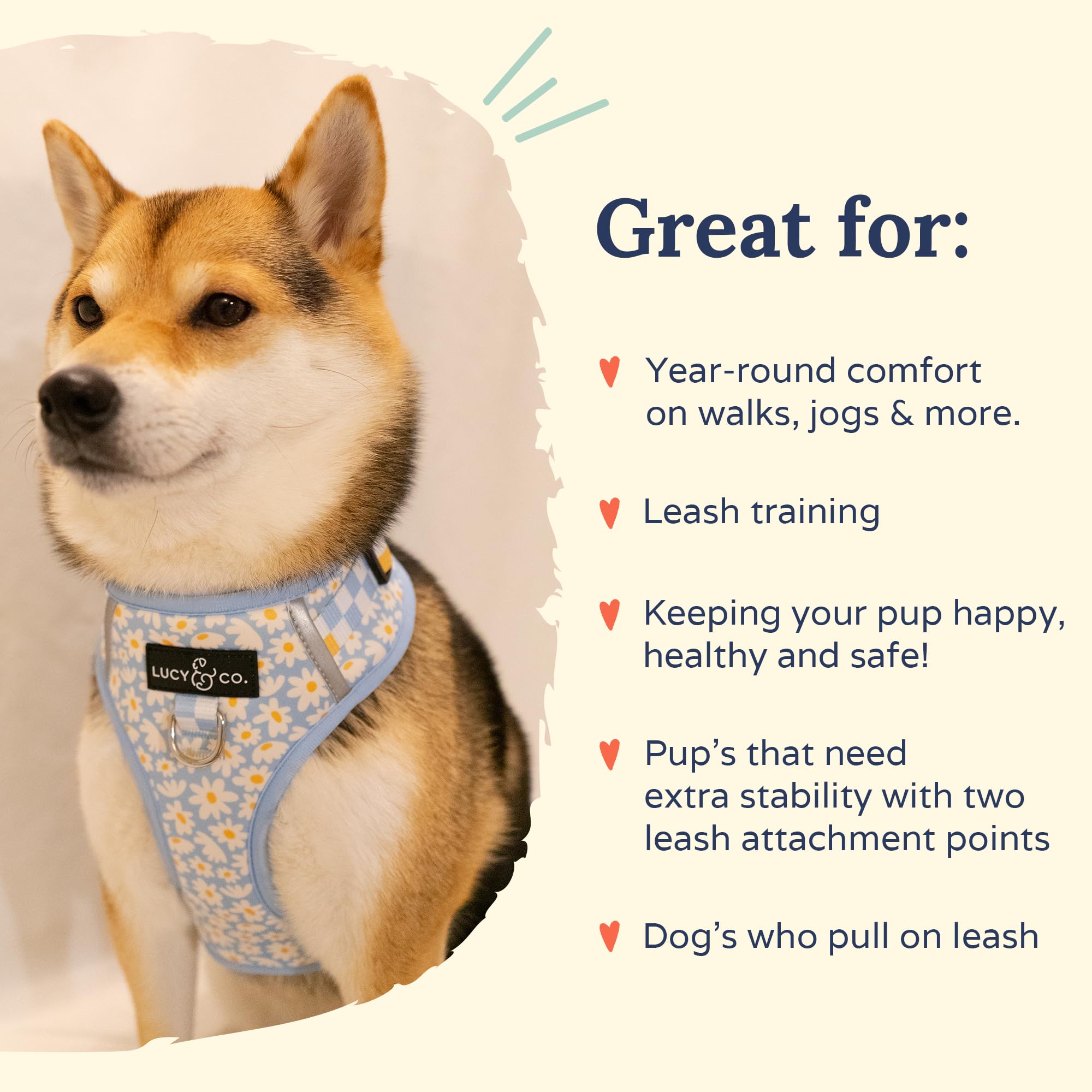 Lucy & Co. The Simply Splendid No-Pull Dog Harness - Size Large - Vest to Stop Pulling & Walk Easy - Comfortable Leash Training