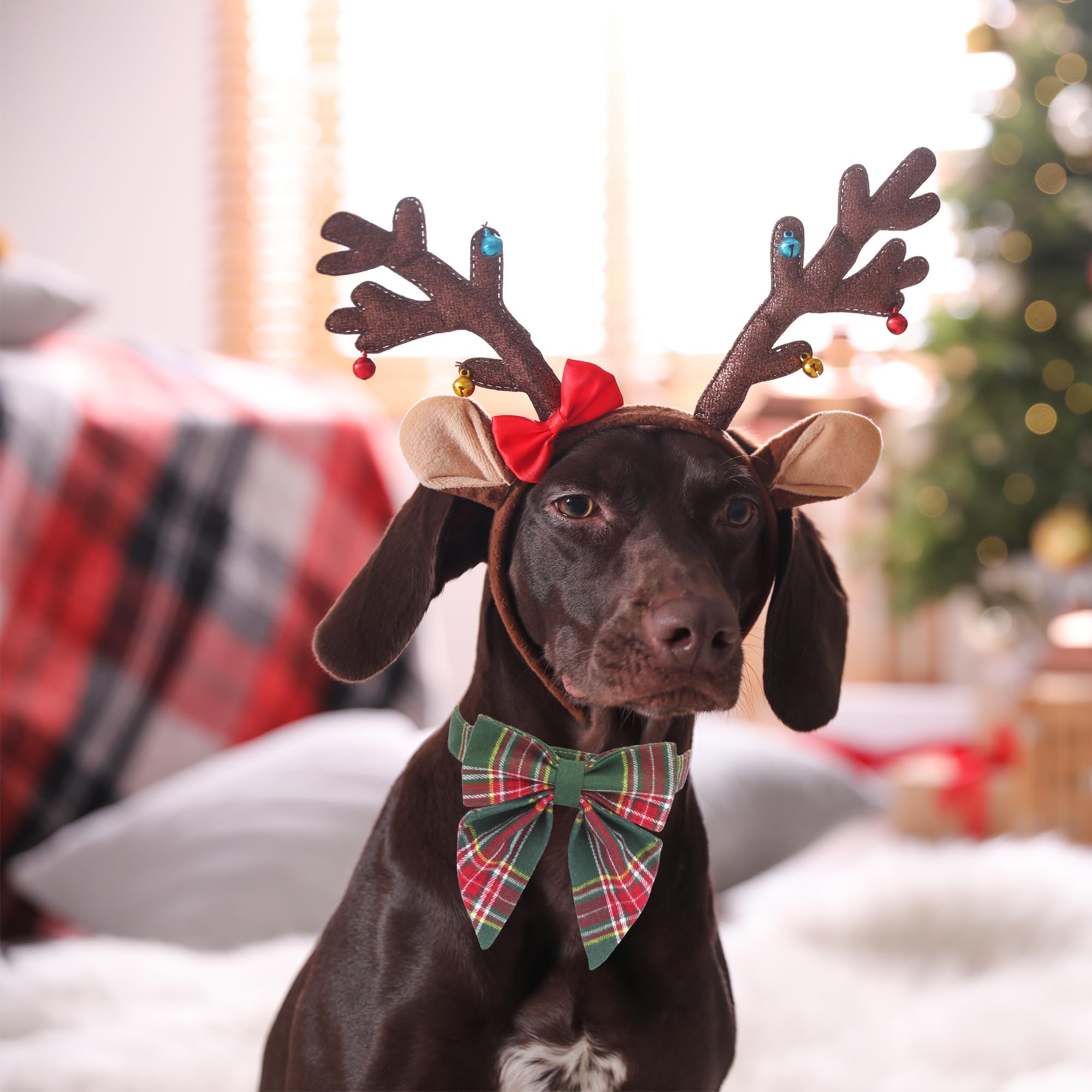 Adoggygo Christmas Dog Collar With Bow, Plaid Xmas Dog Bowtie Collar, Adjustable Green Dog Christmas Collars For Small Medium Large Dogs Pets (Large, Green)