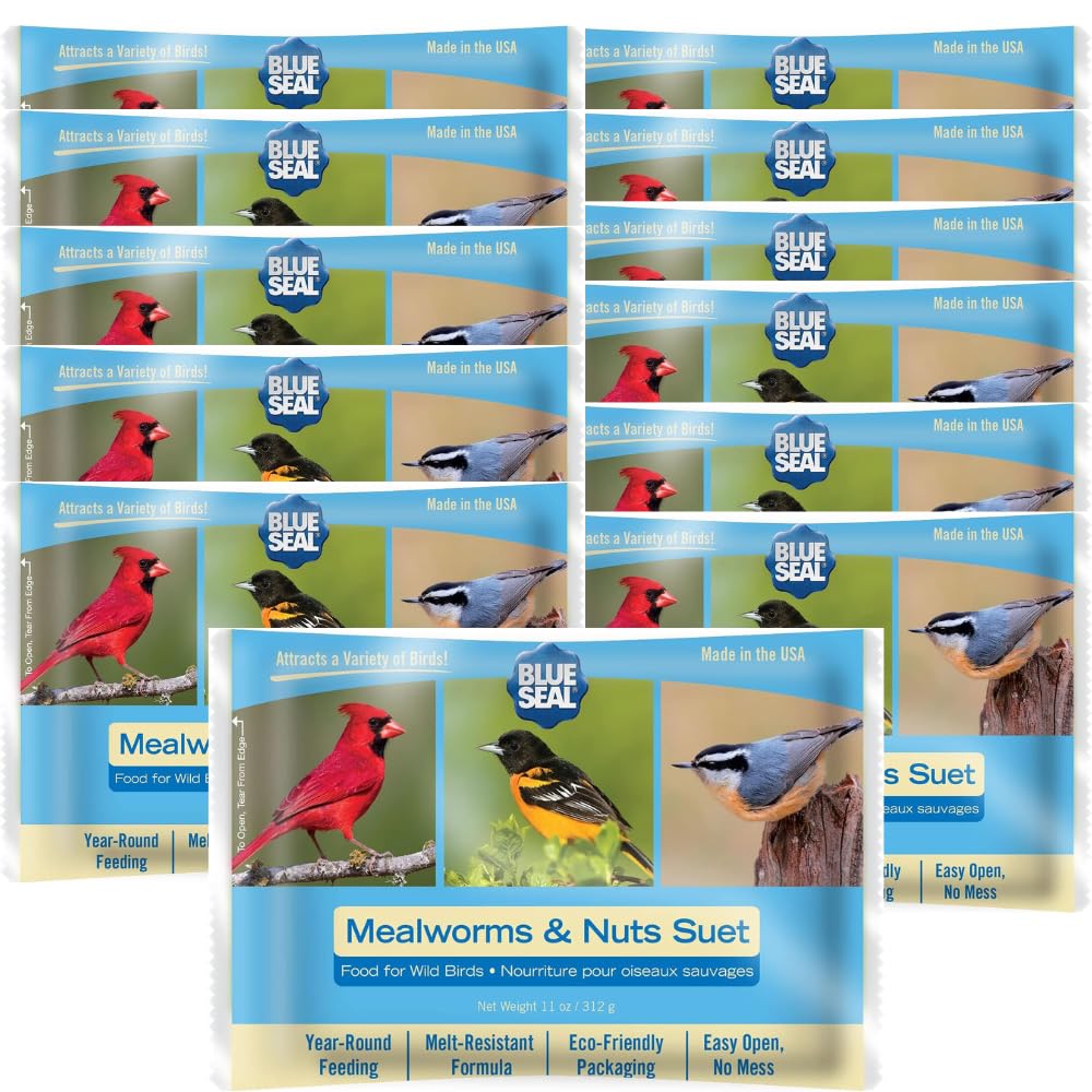 Blue Seal Mealworms & Nuts Suet Cakes for Wild Birds - No Mess Suet Feed, Food for Woodpeckers, Cardinals, Siskins, Sparrows & M