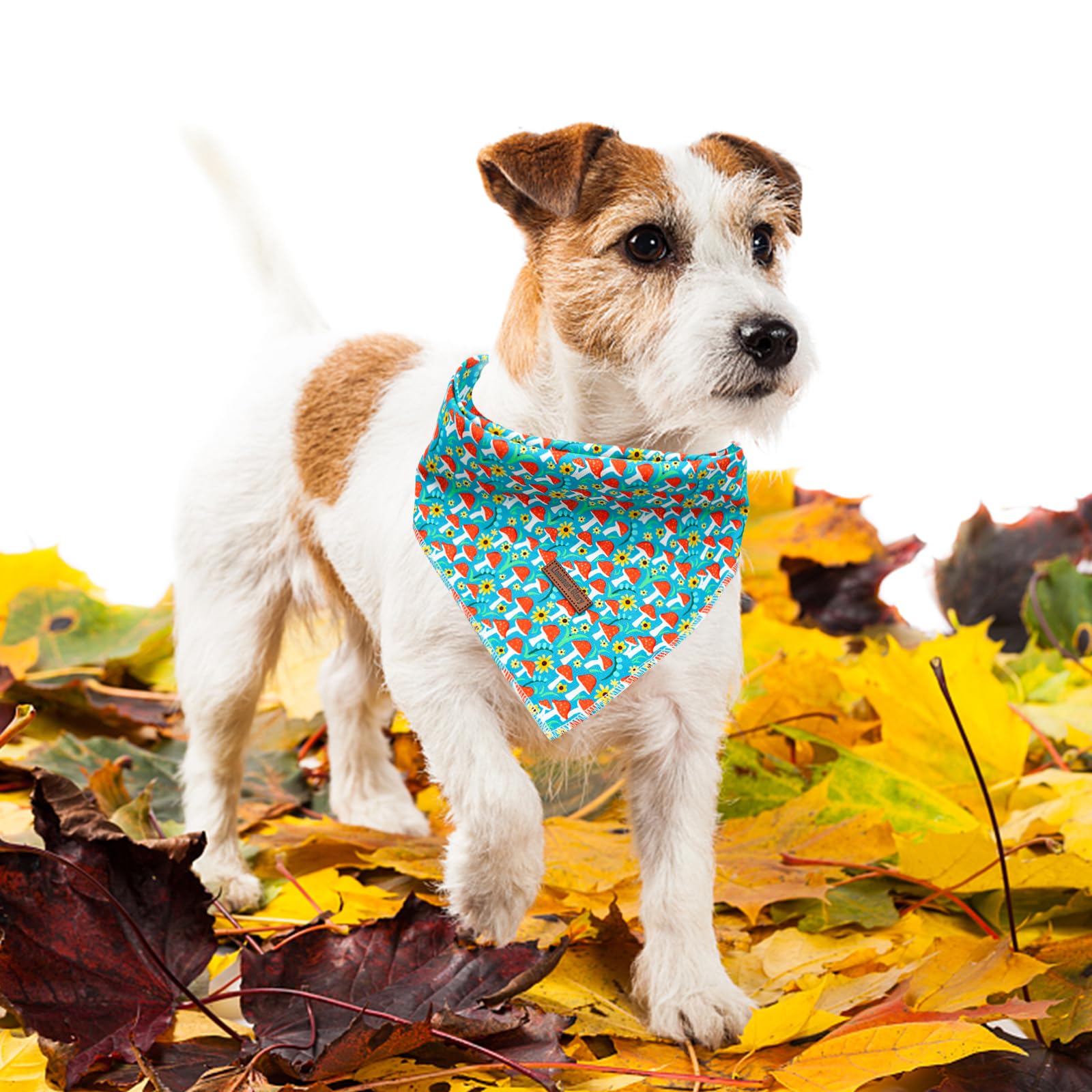 Lionheart Glory Soft Dog Scarf, Washable Fall Bib Scarf, Adjustable Square Bandana For Small To Large Dogs