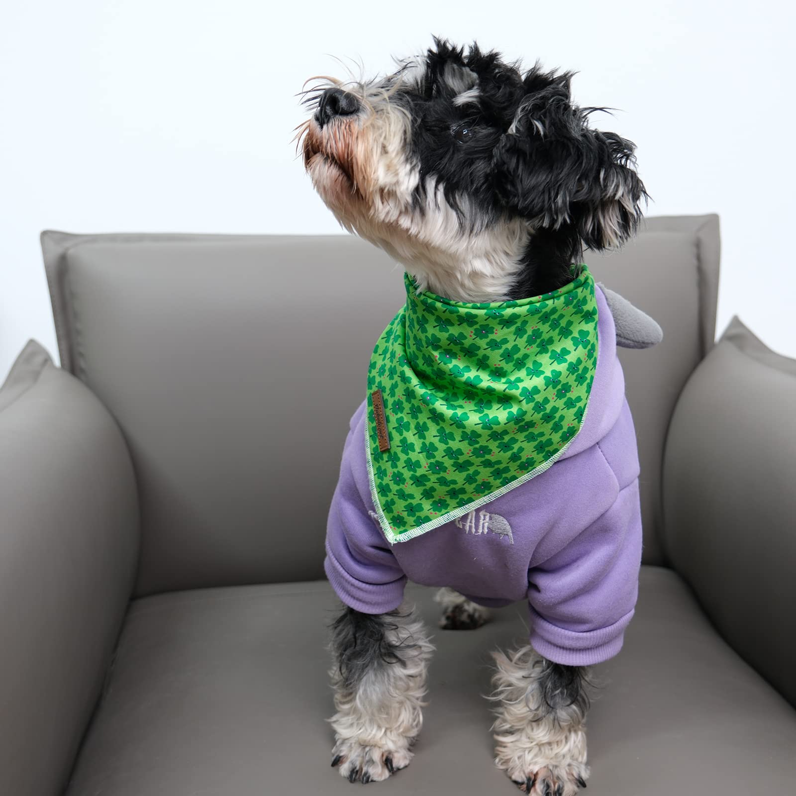 Babole Pet St.Patrick'S Day Dog Bandanas, 1Pc Green Clover Washable Square Dog Scarfs For Small Medium Large Dogs Adjustable Dogs Bib Scarfs For Girl And Boy(L)