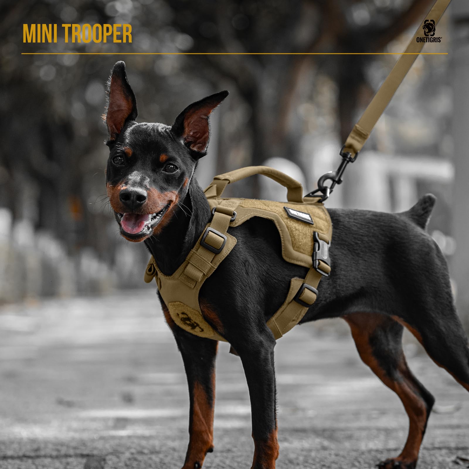Onetigris Small Dog Harness - No Pull Dog Vest Harness & Leash Set - Classic Brown Xxxs