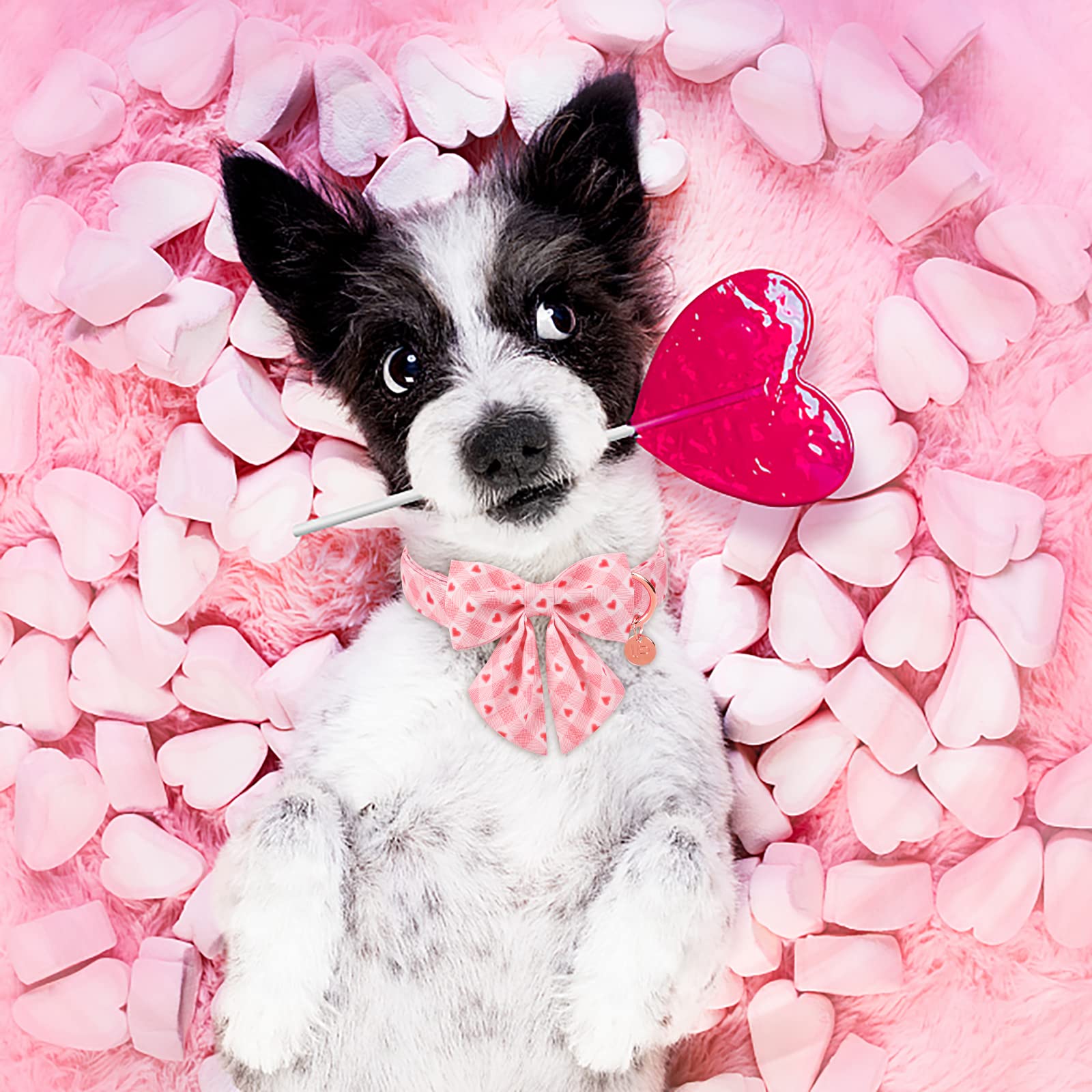 Up Urara Pup Valentine Dog Collar With Bow Tie, Valentine Bowtie Collar For Small Girl Boy Dog, Cotton Collar With Metal Buckle, Valentine’S Day Gift Pet Collar, S, Neck 10-16In, Pink Plaid