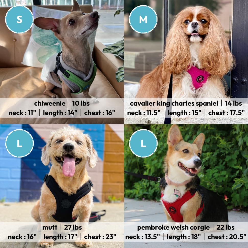 Gooby - Escape Free Sport Harness, Small Dog Step-In Neoprene Harness For Dogs That Like To Escape Their Harness, Pink, Small