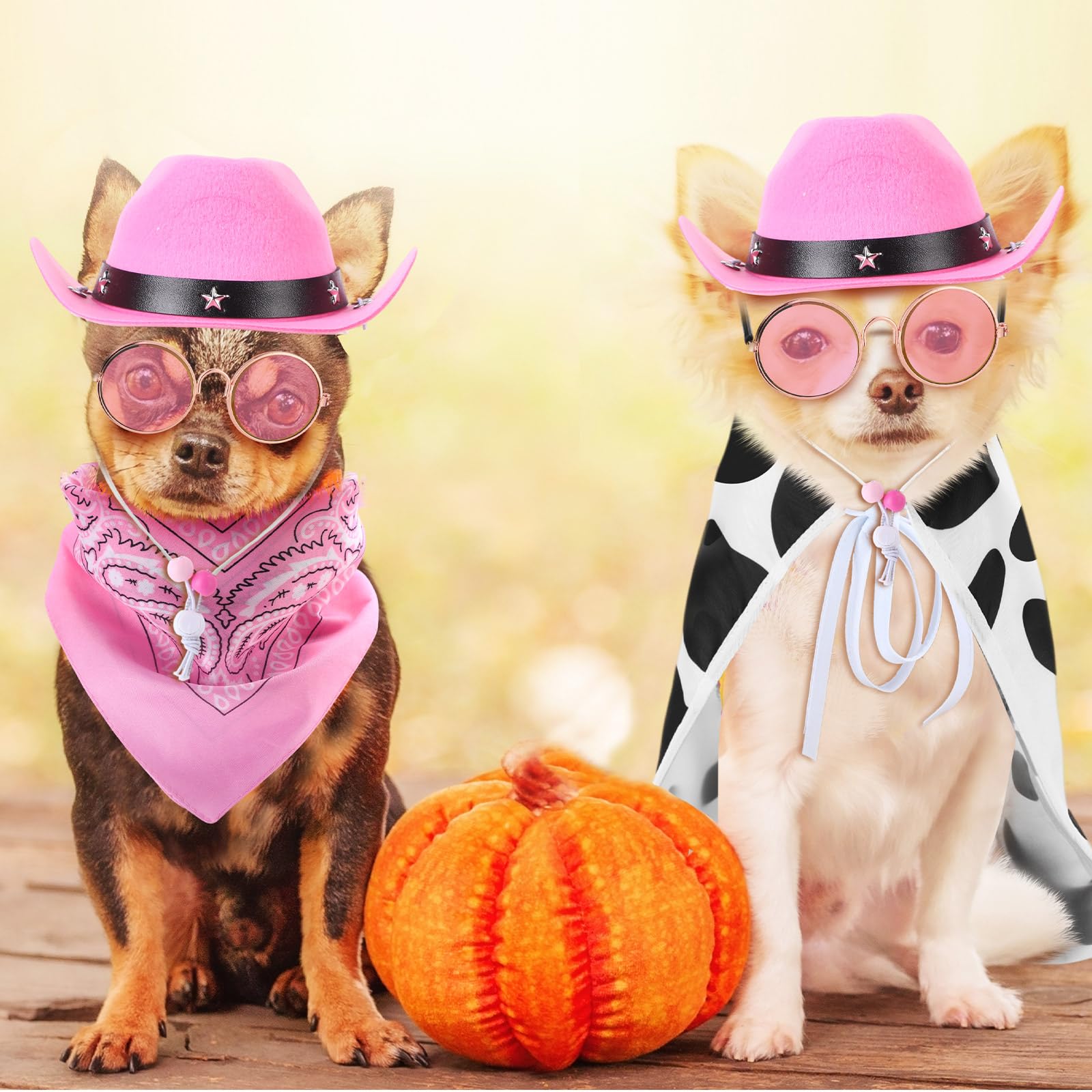 Huhumy 4 Pcs Dog Cowboy Costume Set Includes Pet Cowboy Hat, Triangle Bandana, Puppy Cape and Hiphop Glasses for Halloween Dog C
