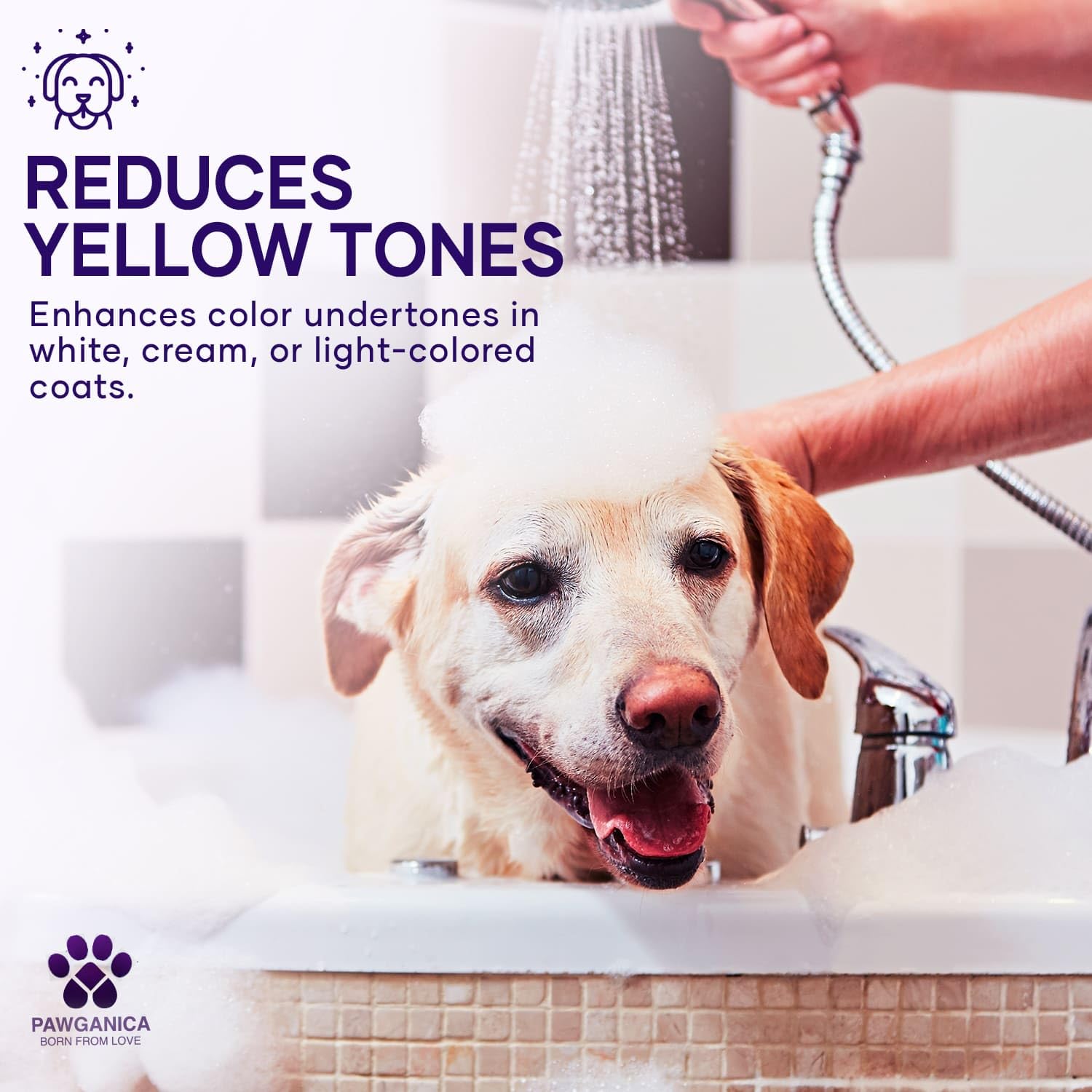 Pawganica 2-In-1 Purple Shampoo For Dogs, Supports Coat Whitening & Softness, Ph-Balanced, Fur Whitening Dog Shampoo And Conditi