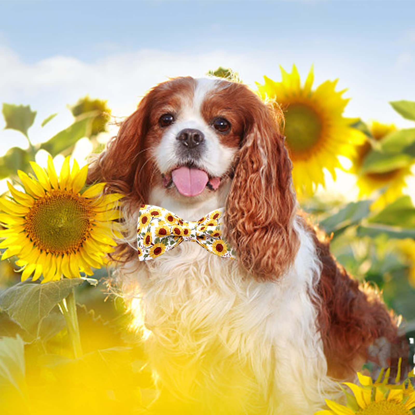 Lionheart glory Dog Collar with Bow Tie Sunflower Print Dog Collar for Female or Male Dogs Soft Durable Adjustable Collar Bows S