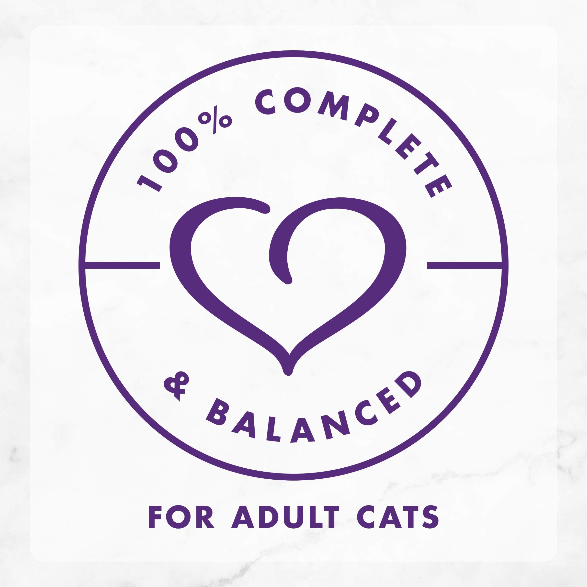 Purina Fancy Feast Delights With Cheddar Grilled Turkey and Cheddar Cheese Feast in Wet Cat Food Gravy Cat Food - (Pack of 24) 3