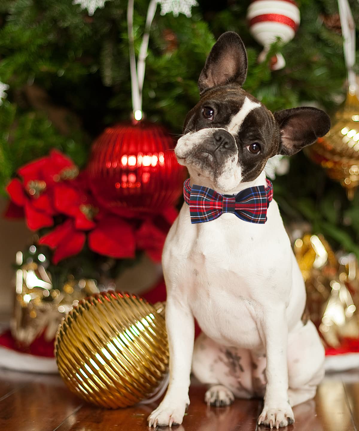 Dogwong Premium Christmas Dog Collars, Red Plaid Dog Collar, Adjustable Heavy Duty Girl Boy Dog Collar With Bow For Small Puppy Dogs