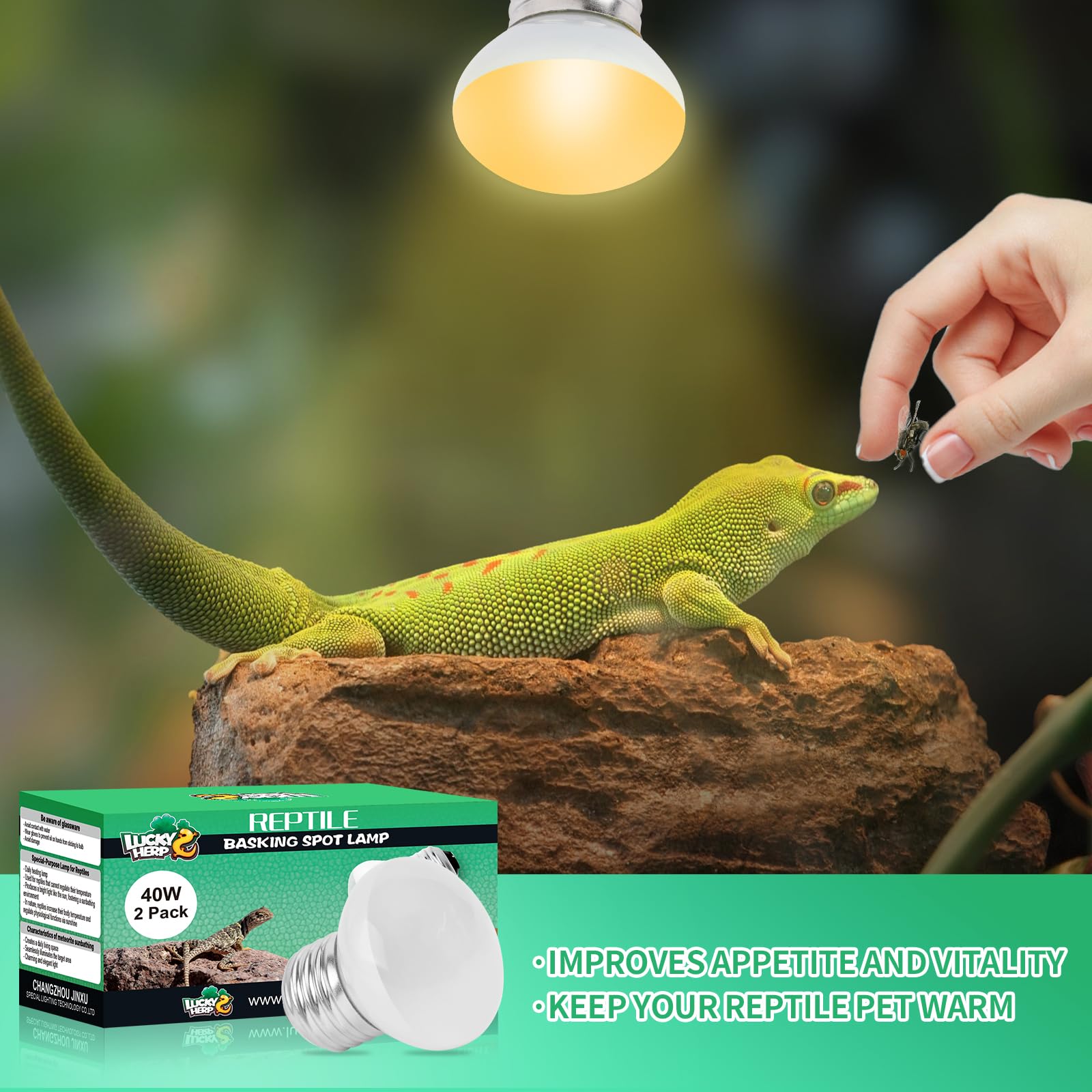 LUCKY HERP 40W Heat Lamp Bulbs 2 Pack - Daylight Basking Spot Light for Reptiles, Amphibians, Chameleons, Snakes, Lizards, Turtl