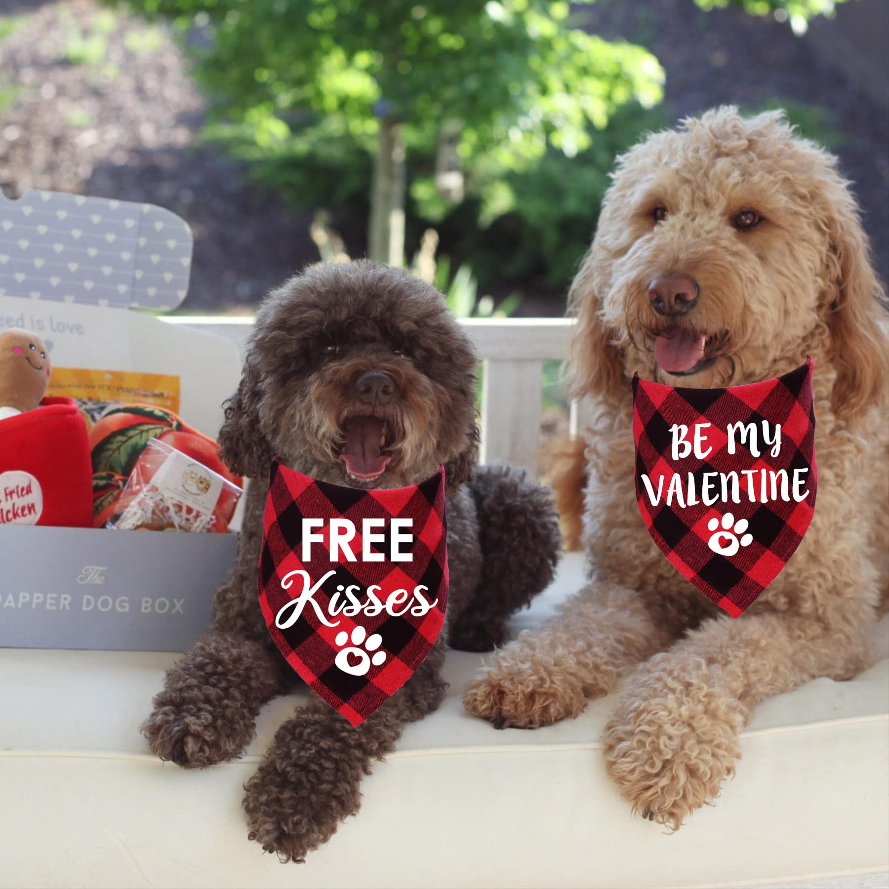 Stmk 2 Pack Valentines Dog Bandanas, Dog Valentines Bandana For Dogs Pets (Red, Free Kisses & Be My Valentine)