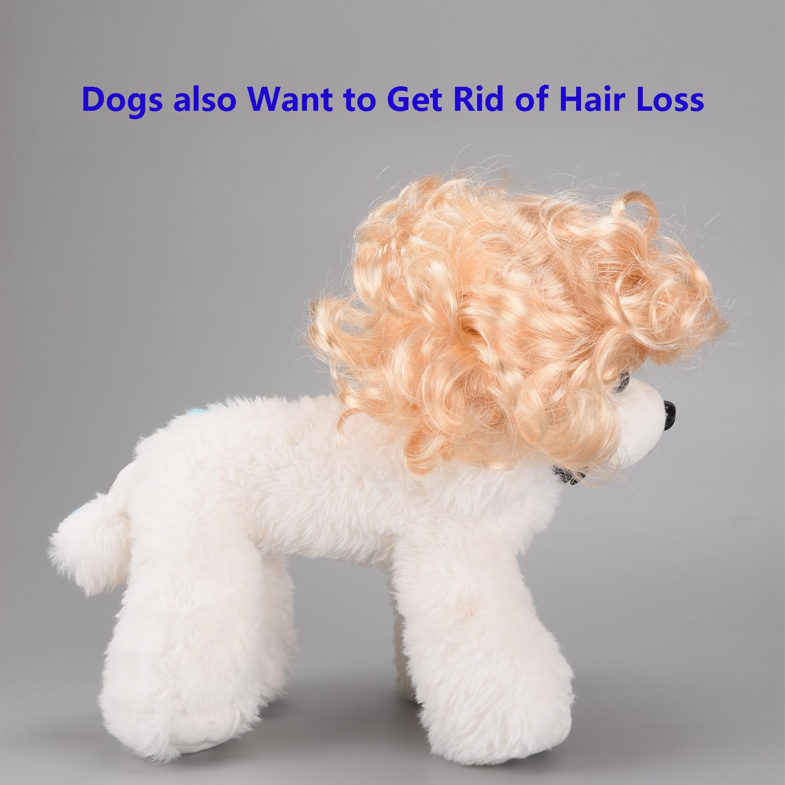 Funny Cosplay Wig For Dog, Headwear Apparel, Pet Costumes, Cat Dress Up For Halloween, Christmas, Parties, Festivals (Curly Blon