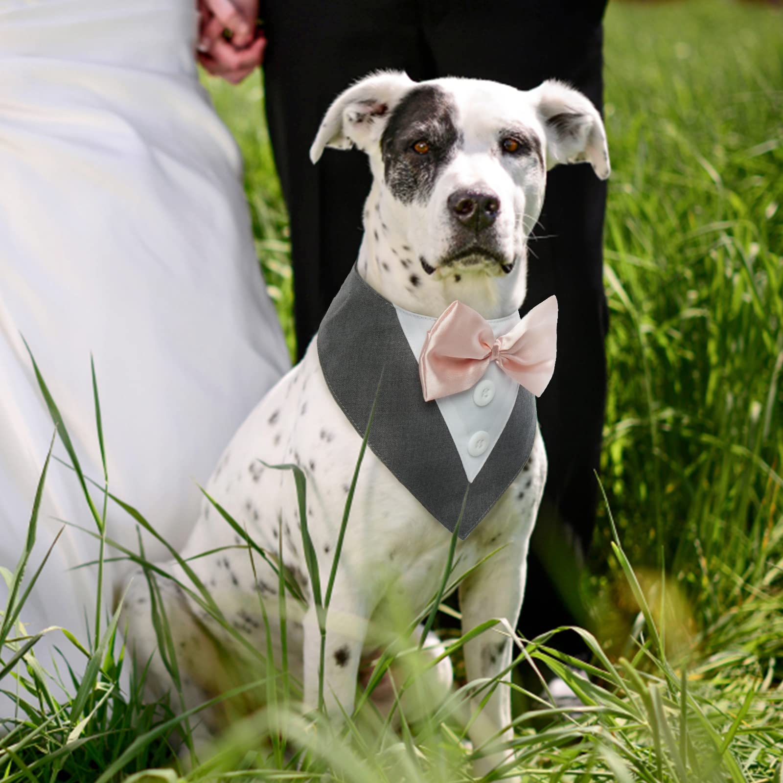 FUAMEY Tuxedo Dog Collar with Bow Tie - Formal Wedding Bandana for Small to Large Pets, Grey