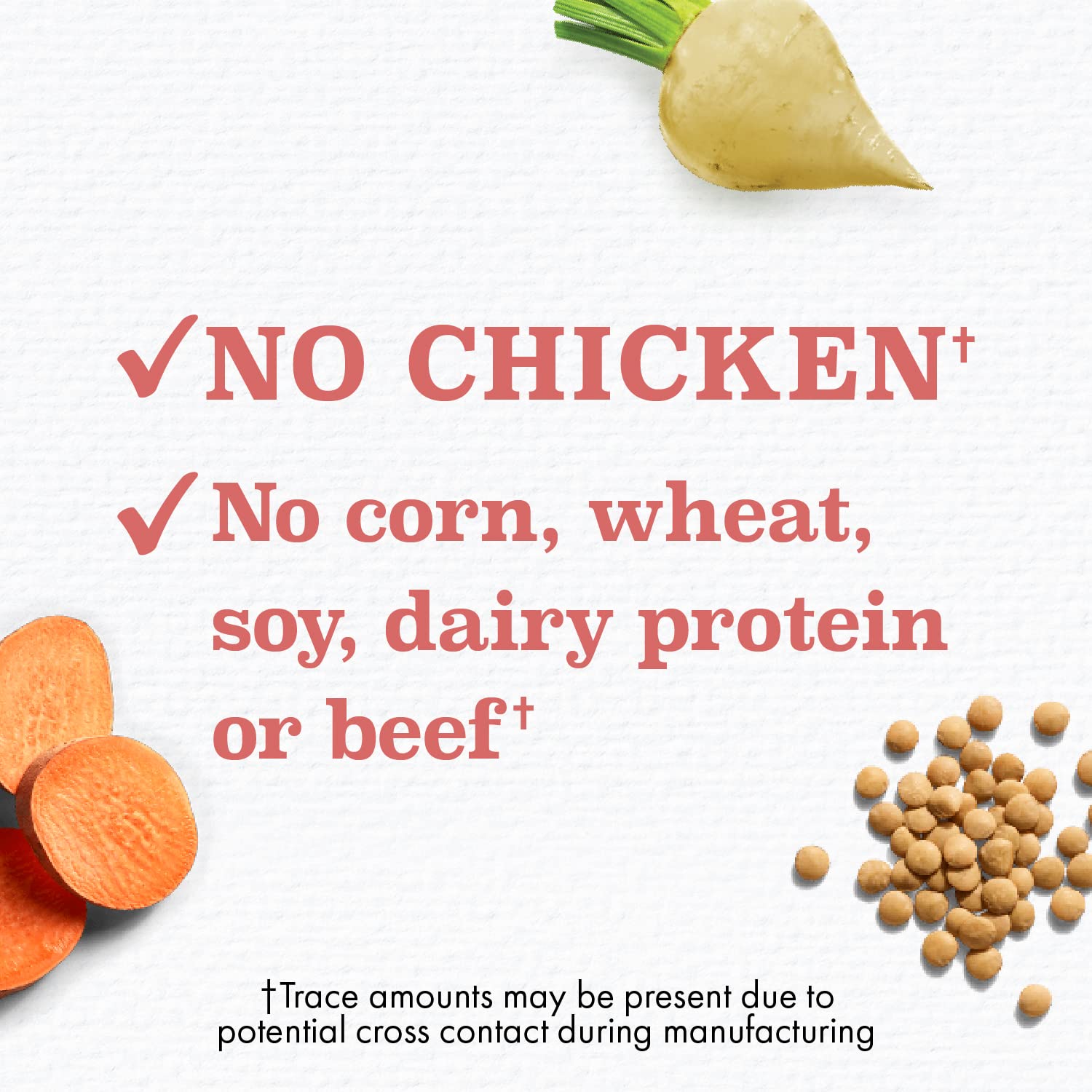 Nutro Limited Ingredient Diet Dry Dog Food, Salmon & Lentils Recipe, 4 lbs.