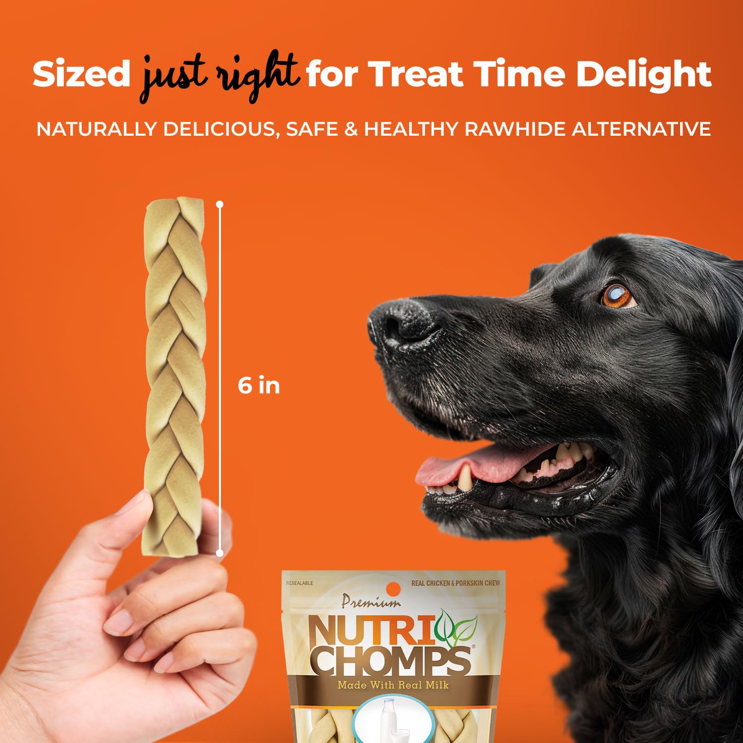 NutriChomps Dog Chews, 6-inch Braids, Easy to Digest, Rawhide-Free Dog Treats, Healthy, Real Chicken, Peanut Butter and Milk fla
