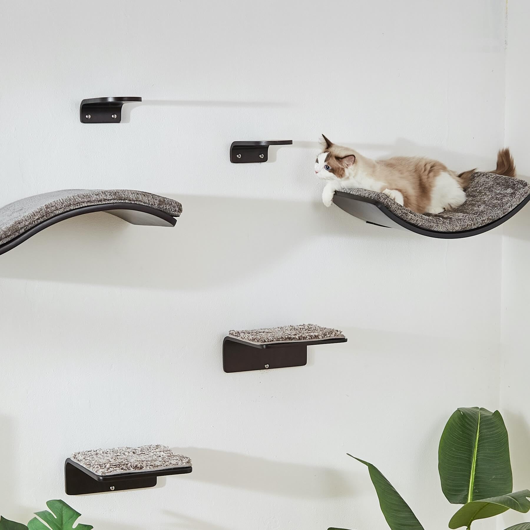 Liorce Cat Shelf With Comfortable Cushion - Curved Modern Cat Bed (Large Size) - Lotus Leaf Design Cats Wall Perch - Wall Mounte