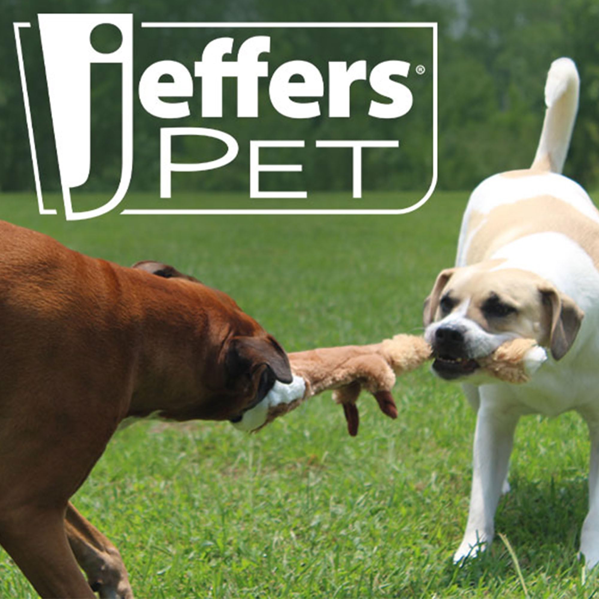 Jeffers Pet Thinnies Unstuffed Squeaker Dog Toy - 21'' Plush Rabbit, Flat Stuffing Free Chew Toy For Small, Medium & Large Dogs