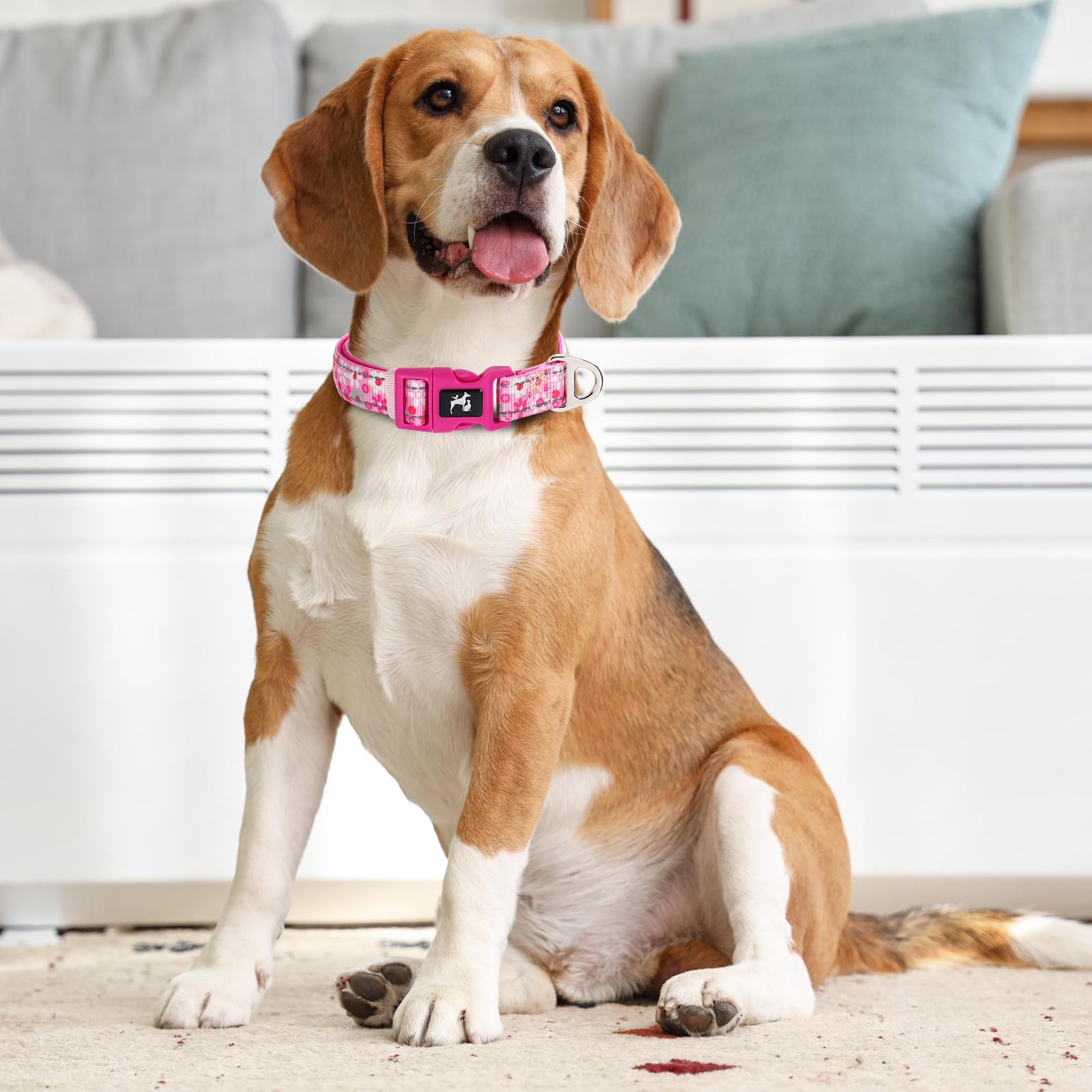 Onefojojo Girl Dog Collar,Reflective Cute Pink Flower Collar For Medium Large Extra Large Female Dogs(Flower L