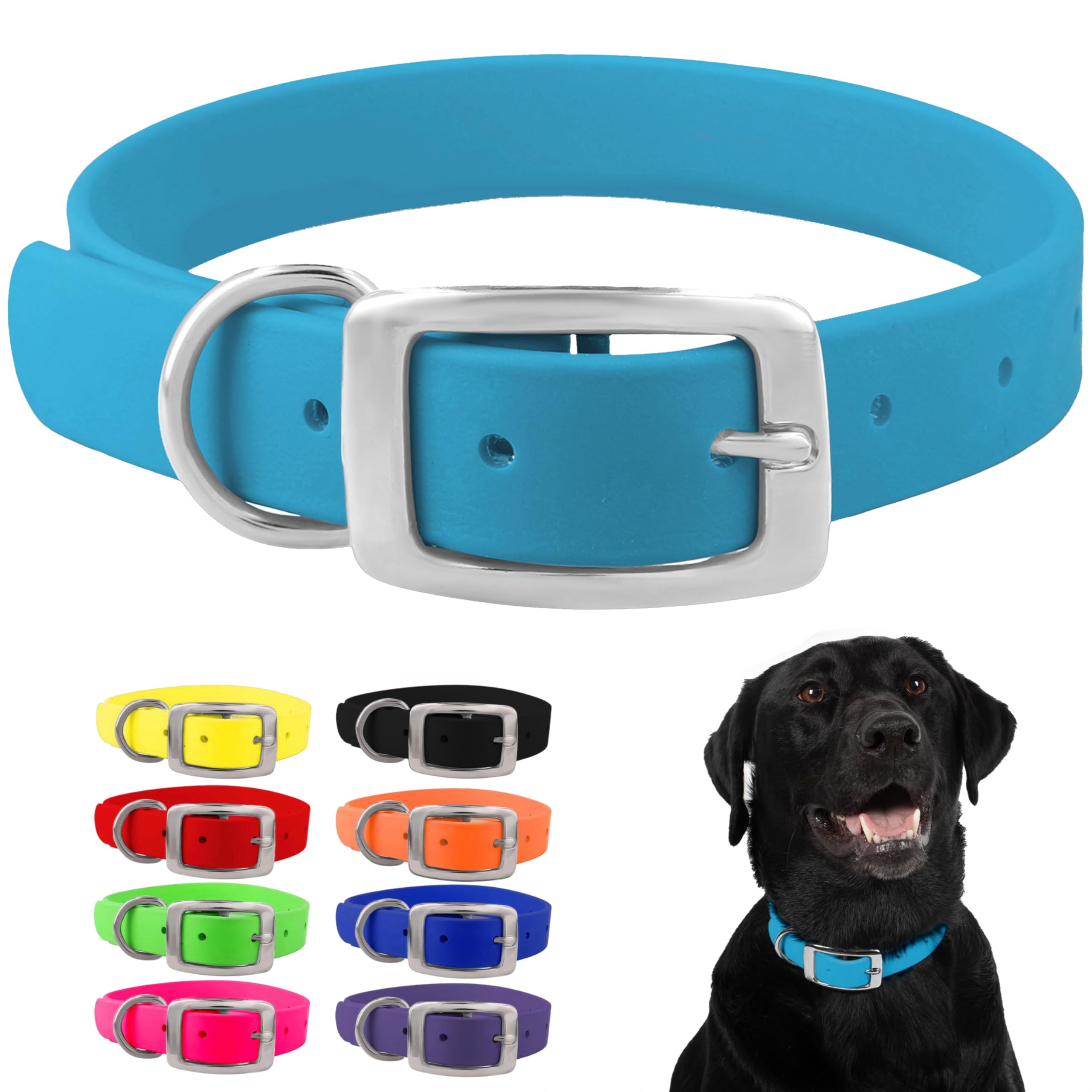 Regal Dog Products Medium Light Blue Dog Collar with Heavy Duty Double Buckle & D Ring | Vinyl Coated, Custom Fit, Adjustable Bi