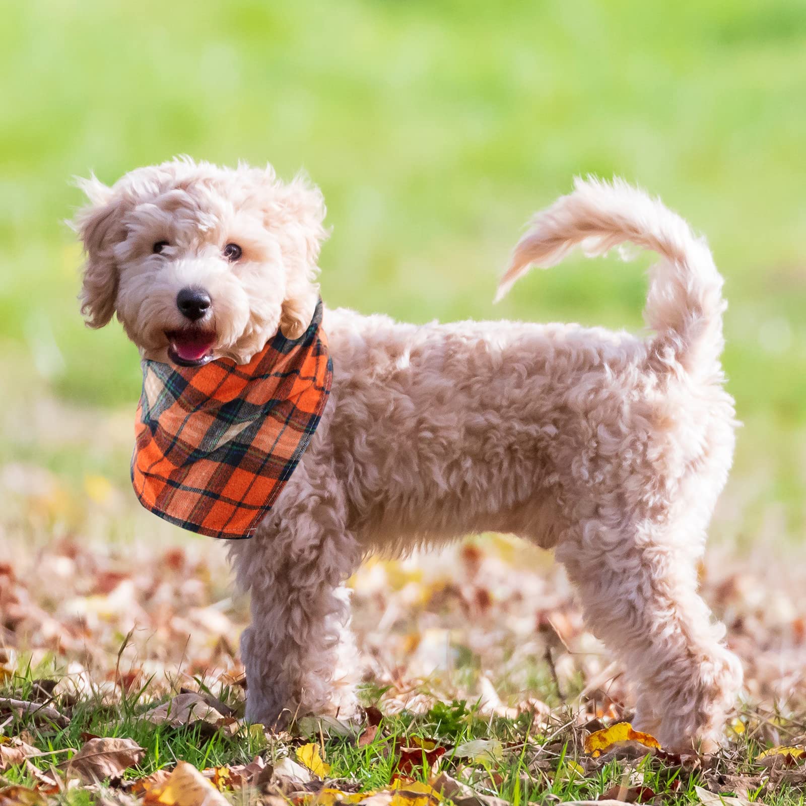 Segarty Dog Bandanas, 30 Pack 22.8'X15.7' Pet Scarf Triangle Plaid Bibs Accessories Bulk For Medium Small Dogs Cats Large Puppy Dogs, Washable Adjustable Reversible Boy Pets Birthday Kerchief