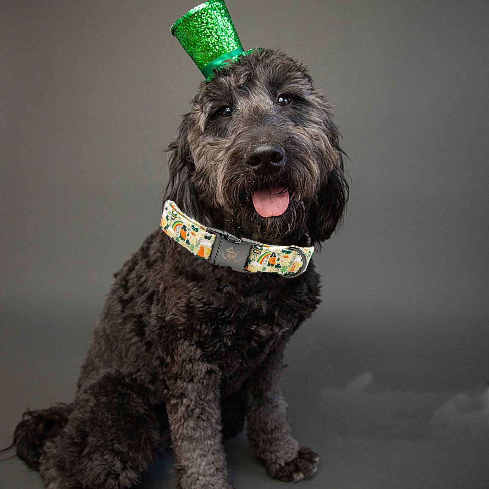 Elegant Little Tail Lucky Colver St. Patrick's Day Cute Puppy Adjustable X-Small Dog Collar