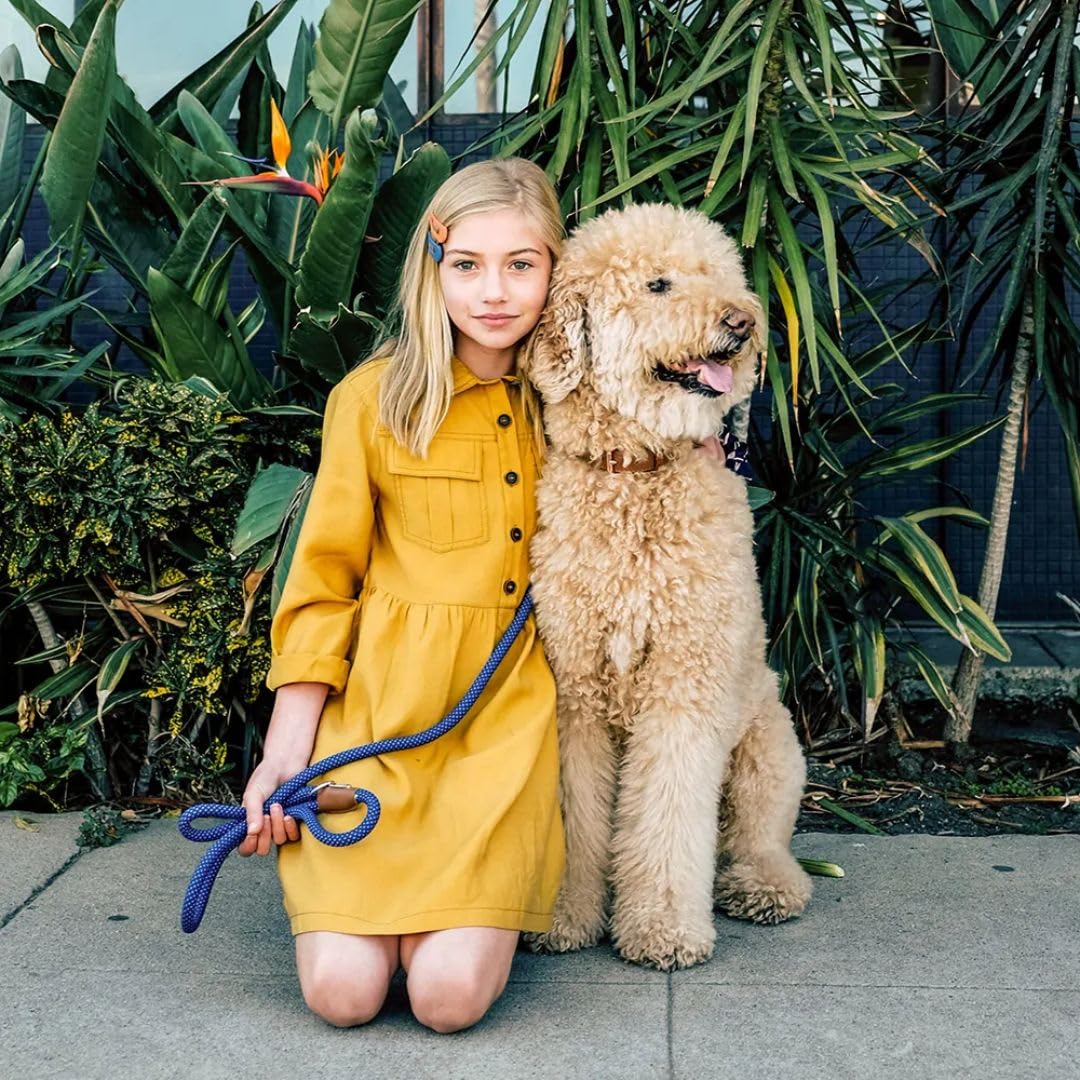 Zippypaws Mod Essential Dog Leash, Durable Rope Leash With Leather Accents, 5 Ft Long, Navy