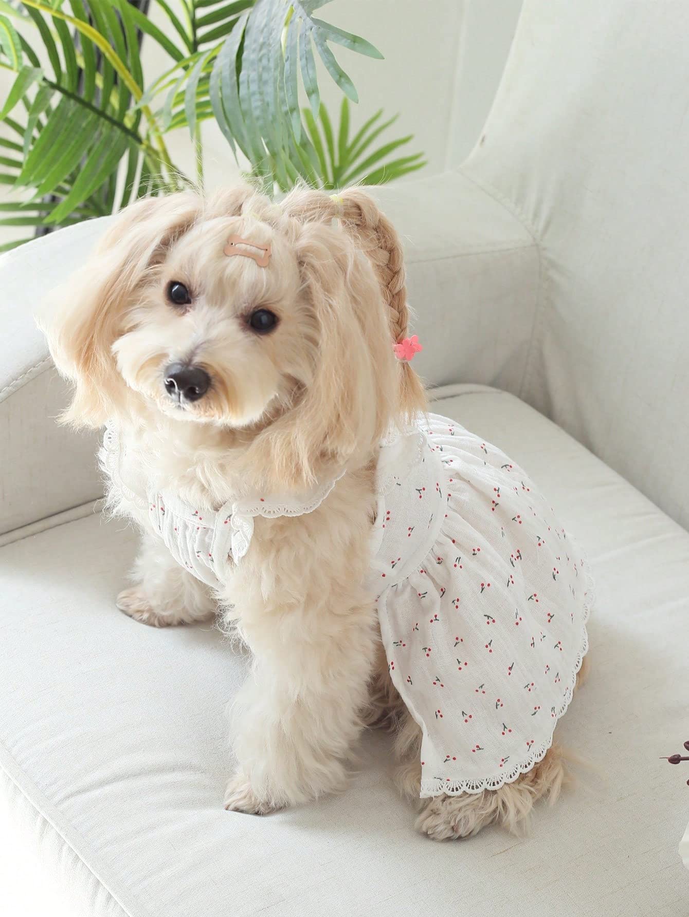 Qwinee Lace Trim Dog Dress Apparel Cherry Print Cat Puppy Skirts Cute Pet Tutu Breathable Summer Birthday Holiday Dress For Smal