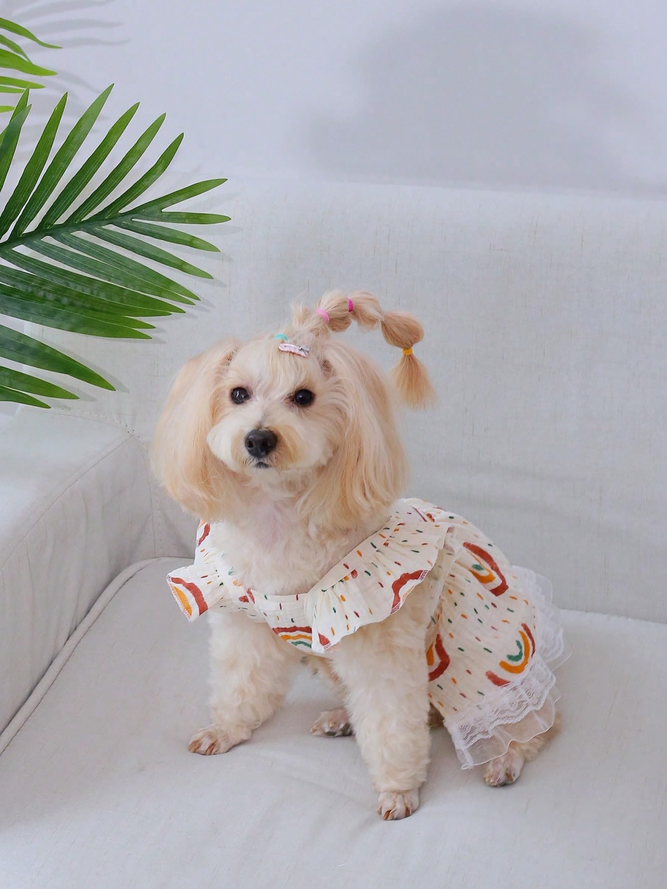 Qwinee Rainbow Print Dog Dress Ruffle Trim Princess Dress Cat Vest Dress Lace Trim Summer Dress Pet Clothes For Small Medium Cat