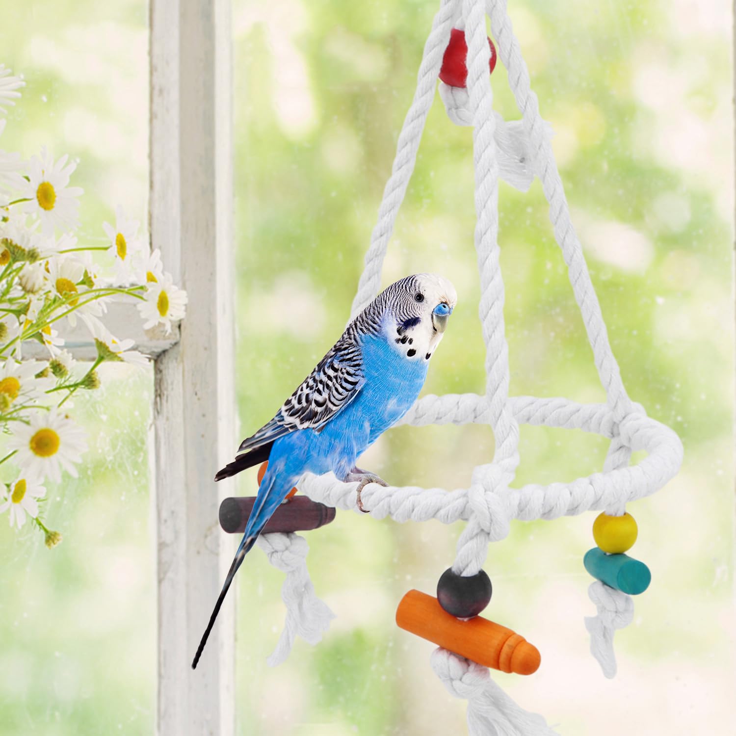 Hypeety Pet Bird Parrot Swing - Hanging Hammock For Parakeets, Budgies, Conures & Quaker Parrots - Cotton Rope Round Swing Toy